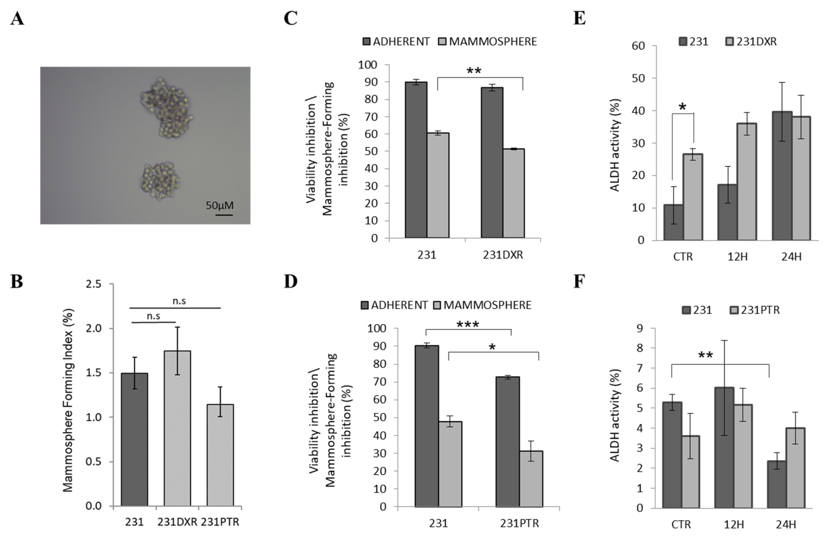 Molecules Free Full Text Egcg Derivative G28 Shows High Efficacy Inhibiting The Mammosphere Forming Capacity Of Sensitive And Resistant Tnbc Models Html