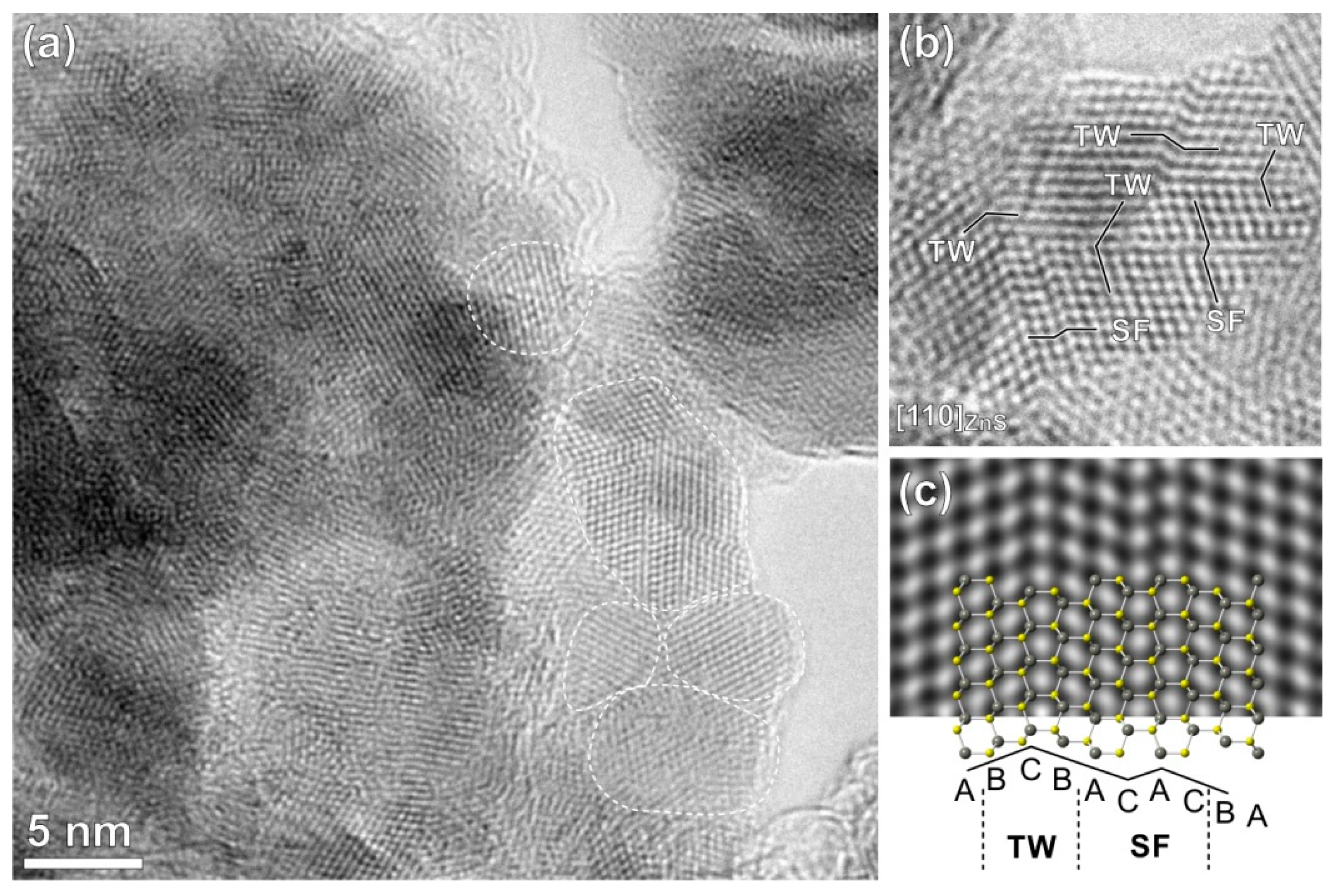 Molecules 24 01031 g004 Molecules 24 01031 g004