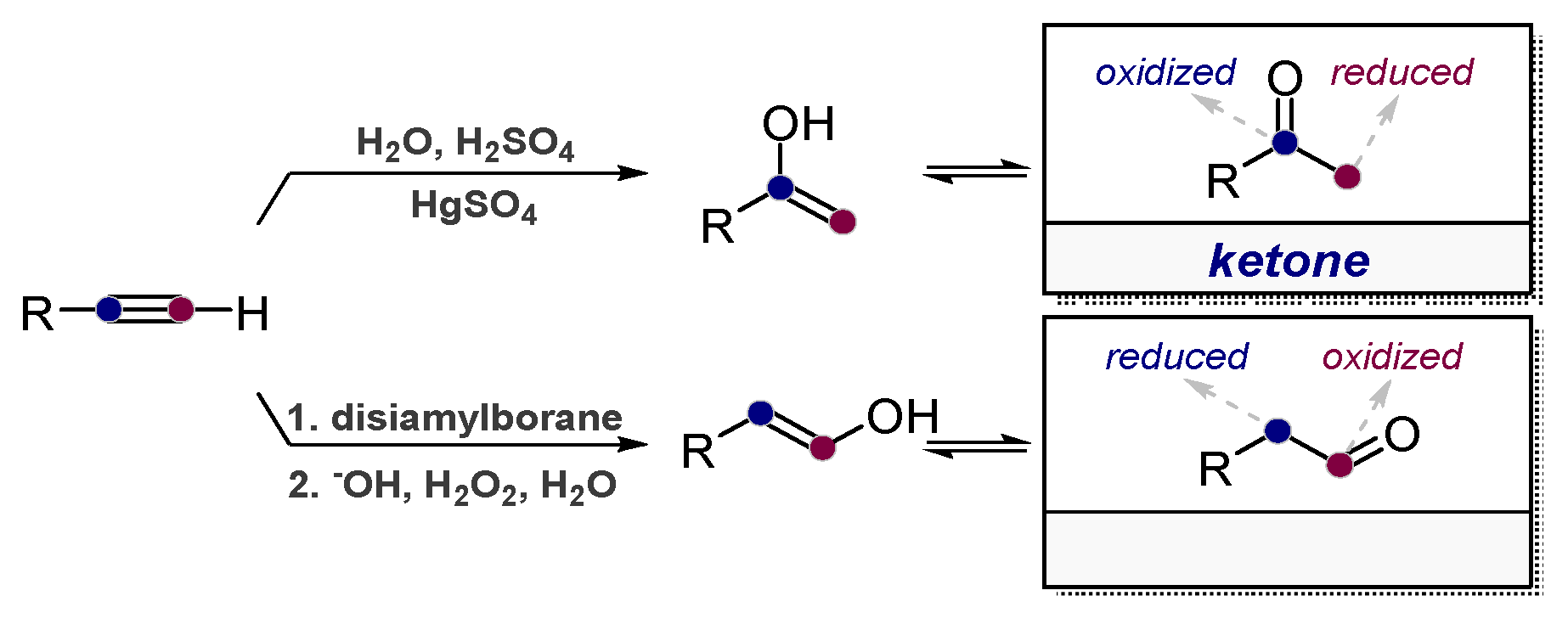 Molecules 24 01036 sch001