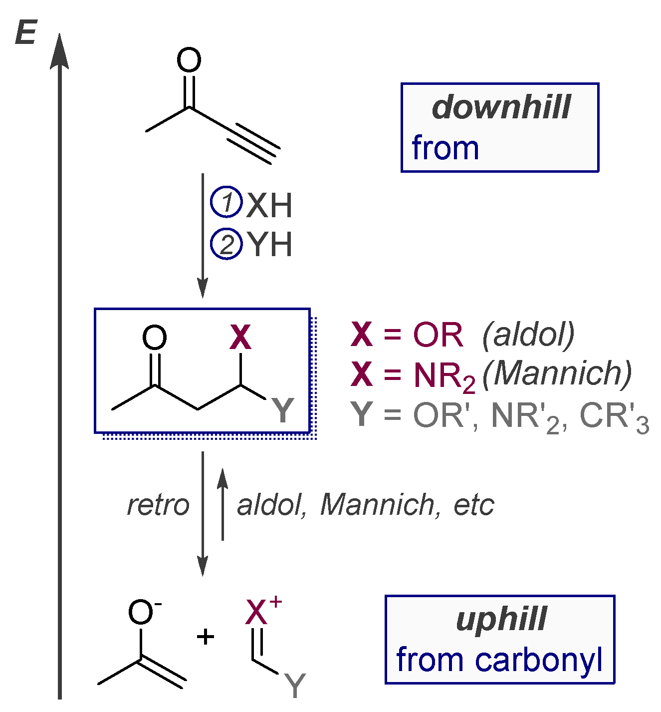 Molecules 24 01036 sch034