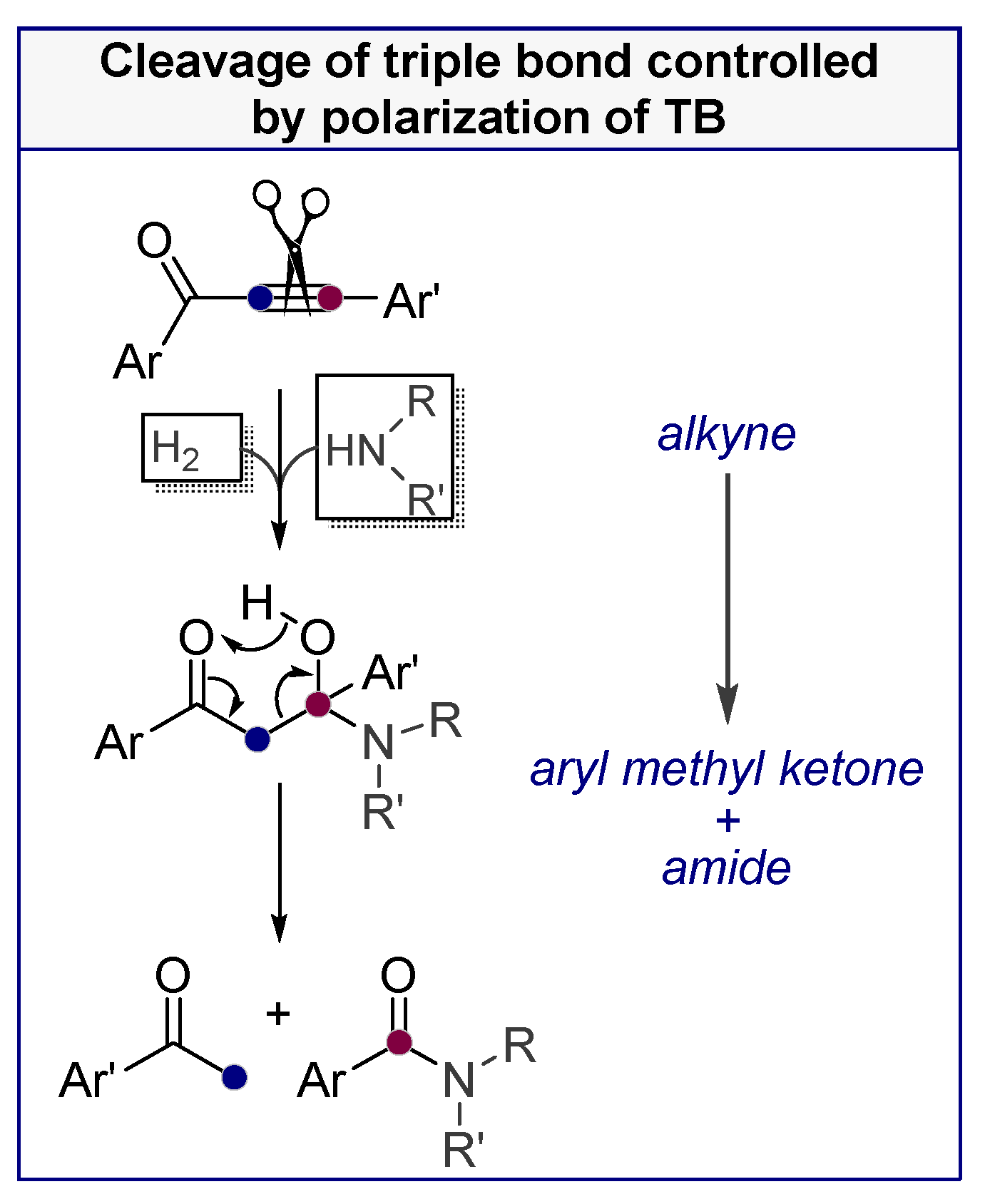 Molecules 24 01036 sch036