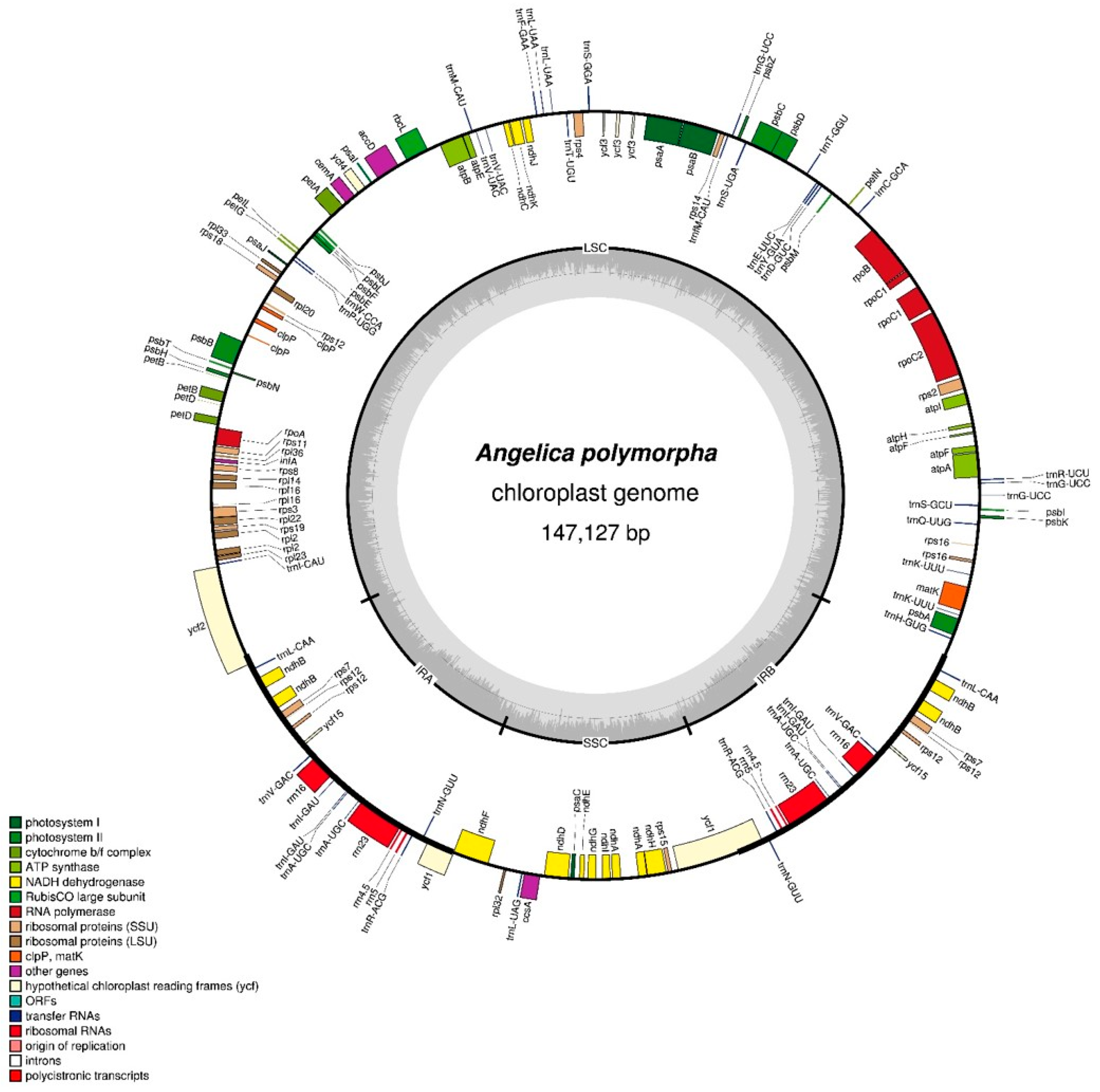 Molecules 24 01038 g001 Molecules 24 01038 g001
