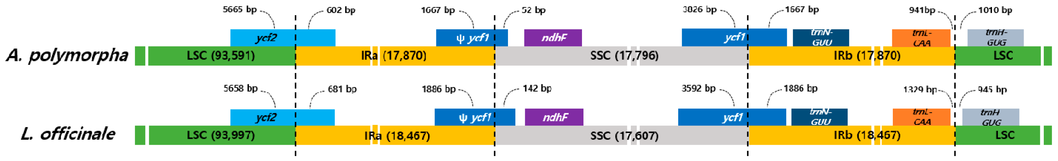 Molecules 24 01038 g002 Molecules 24 01038 g002