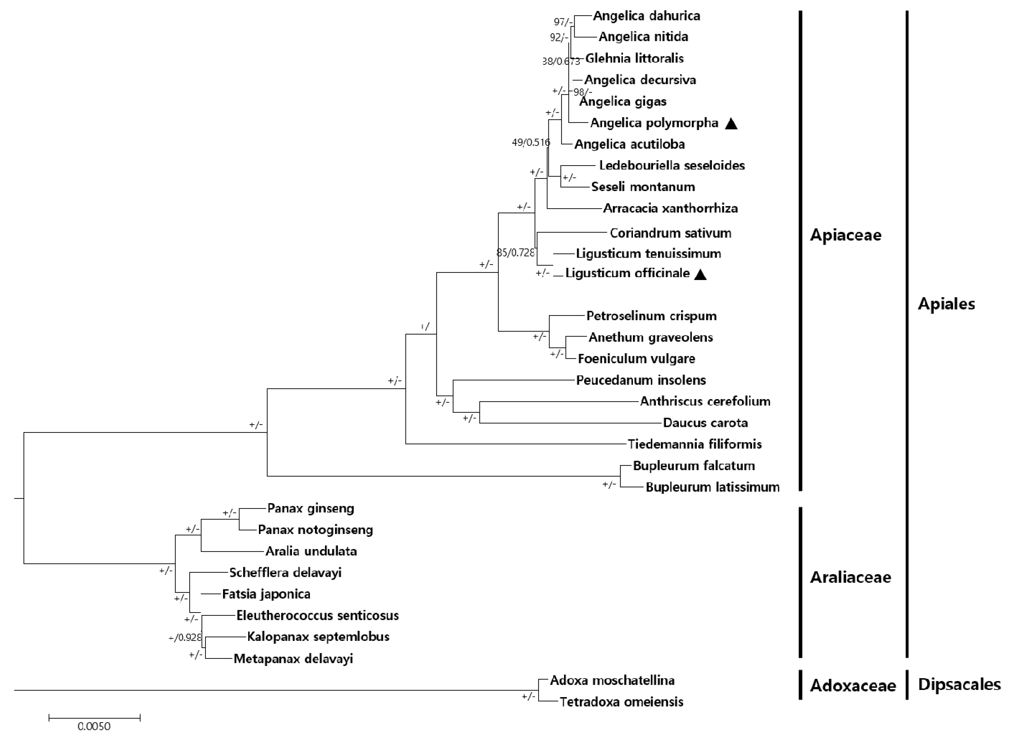Molecules 24 01038 g005 Molecules 24 01038 g005