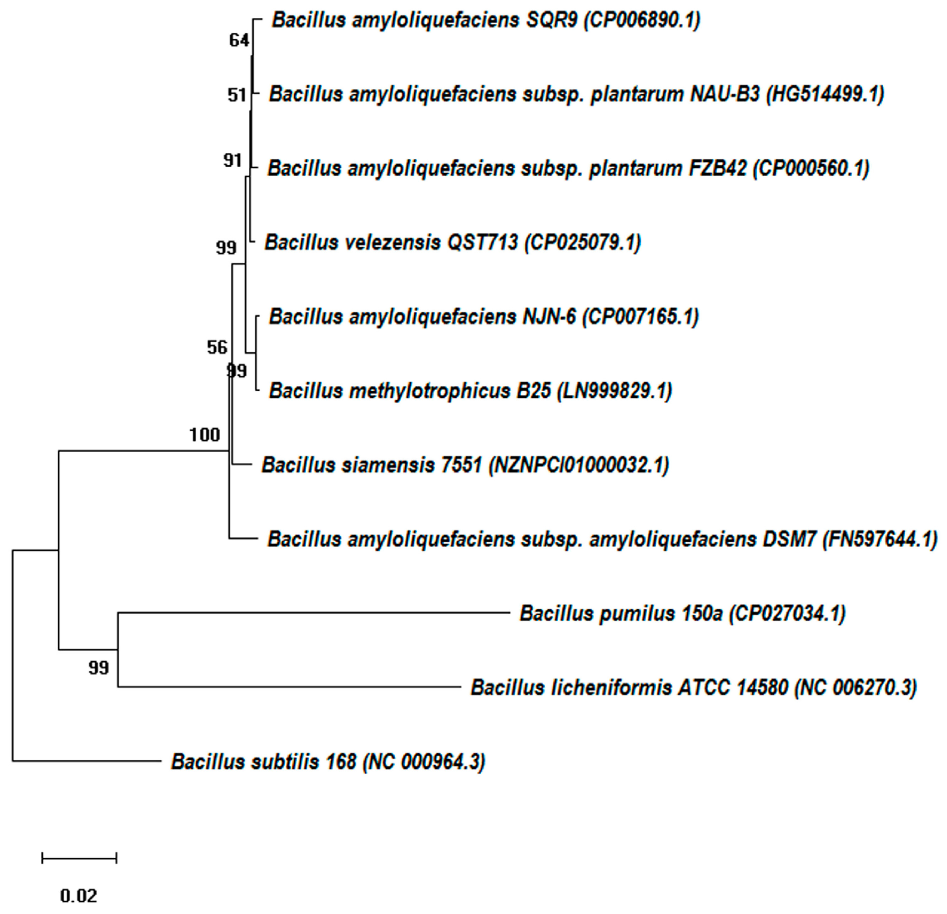 Molecules 24 01046 g002 Molecules 24 01046 g002