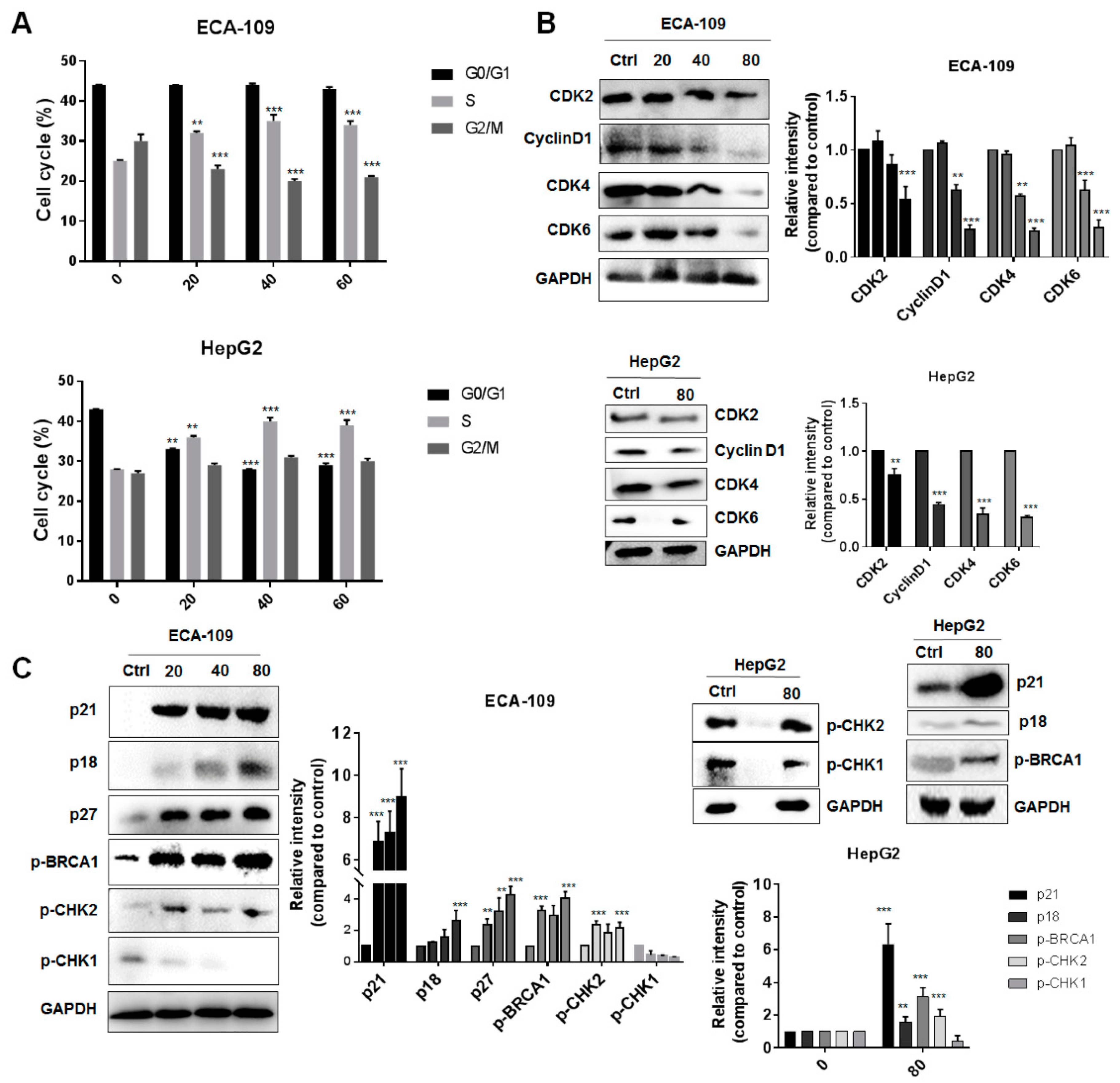 Molecules 24 01054 g002 Molecules 24 01054 g002