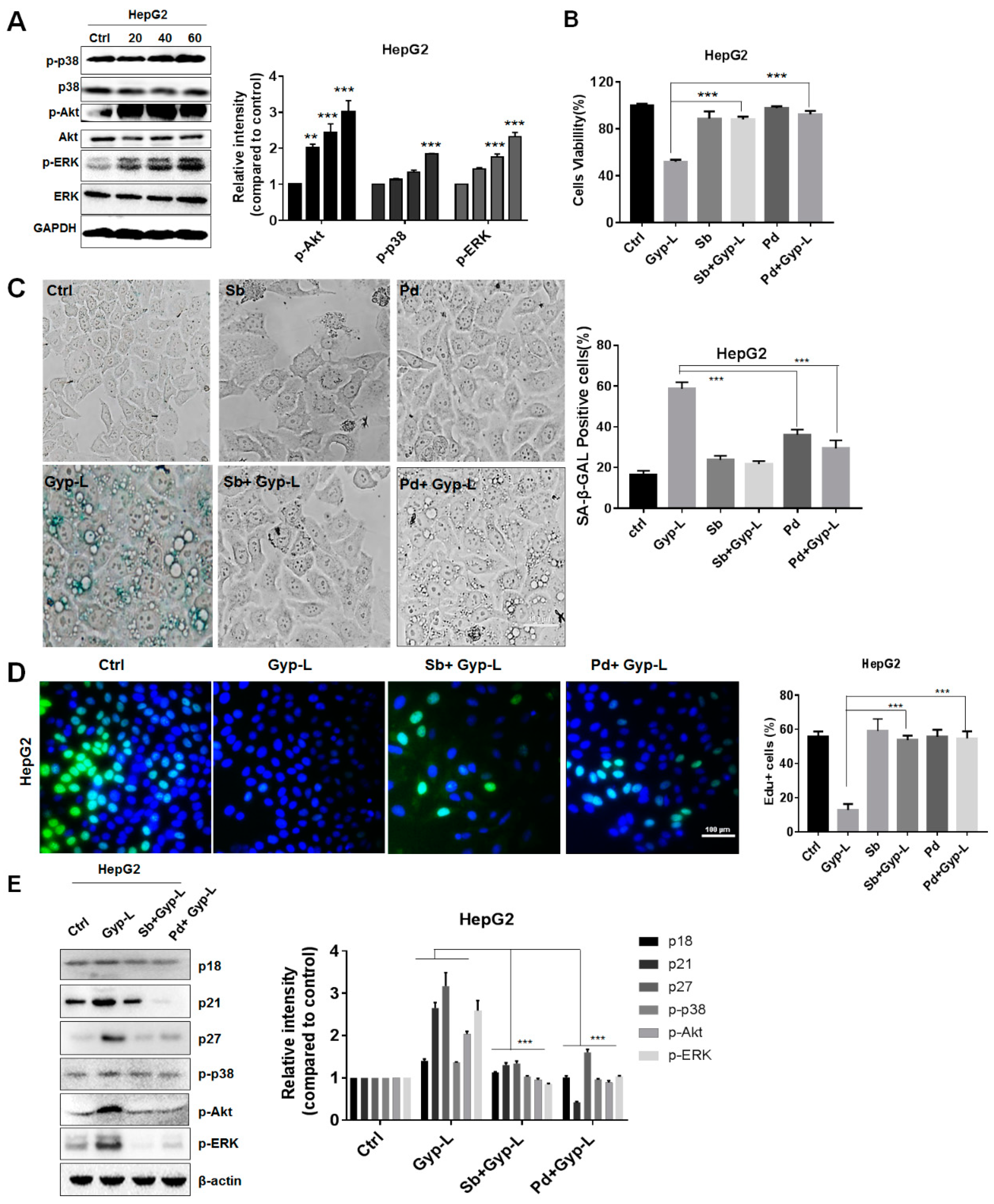 Molecules 24 01054 g004 Molecules 24 01054 g004