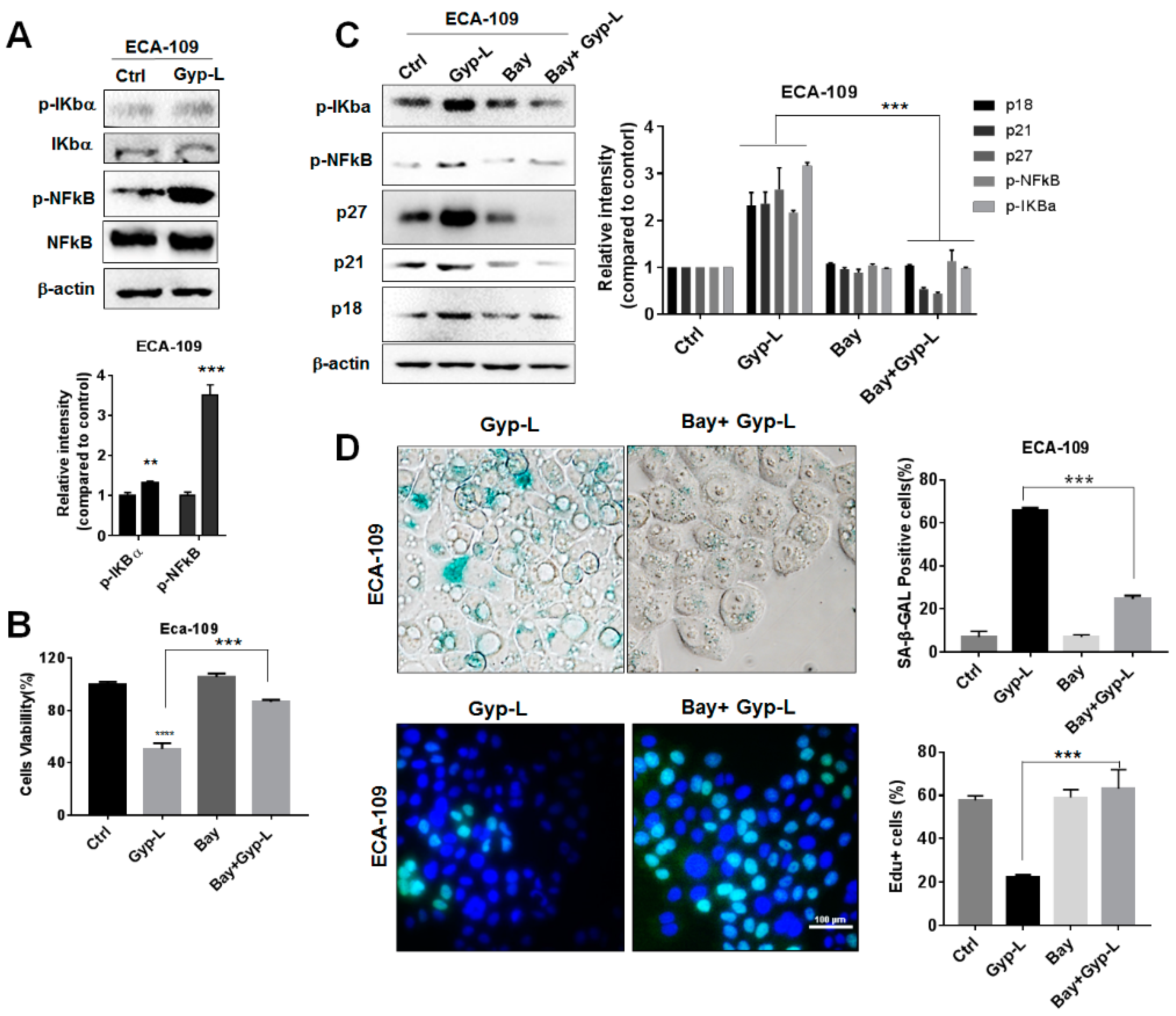 Molecules 24 01054 g005 Molecules 24 01054 g005