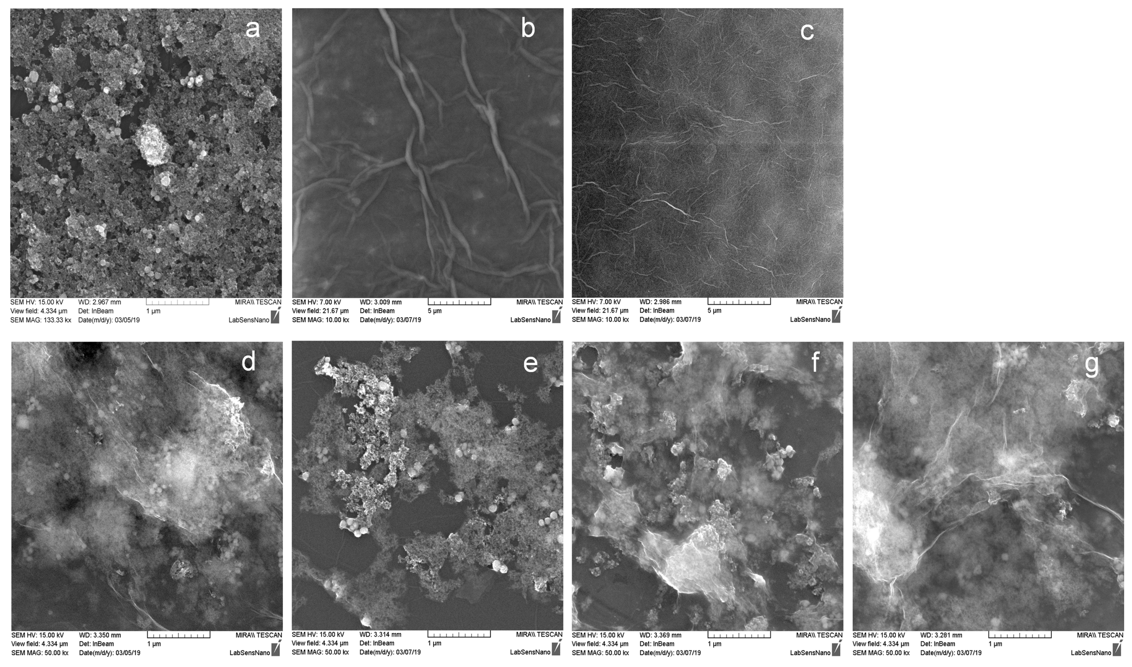 Molecules 24 01063 g003