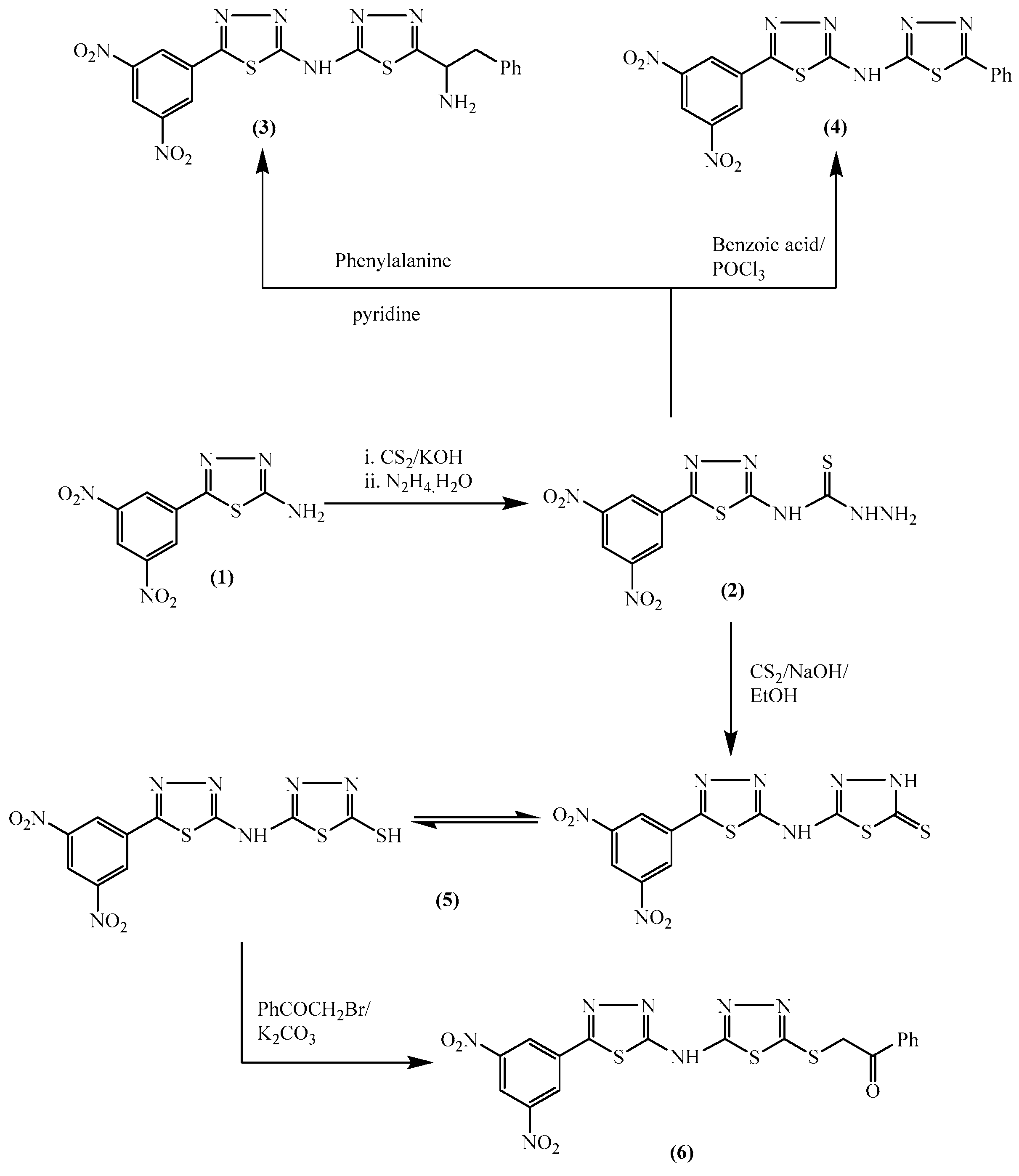 Molecules 24 01066 sch001 550