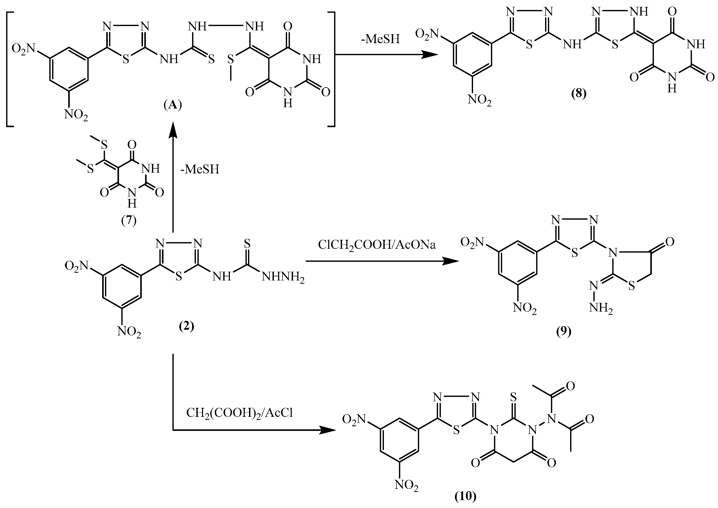 Molecules 24 01066 sch002 550