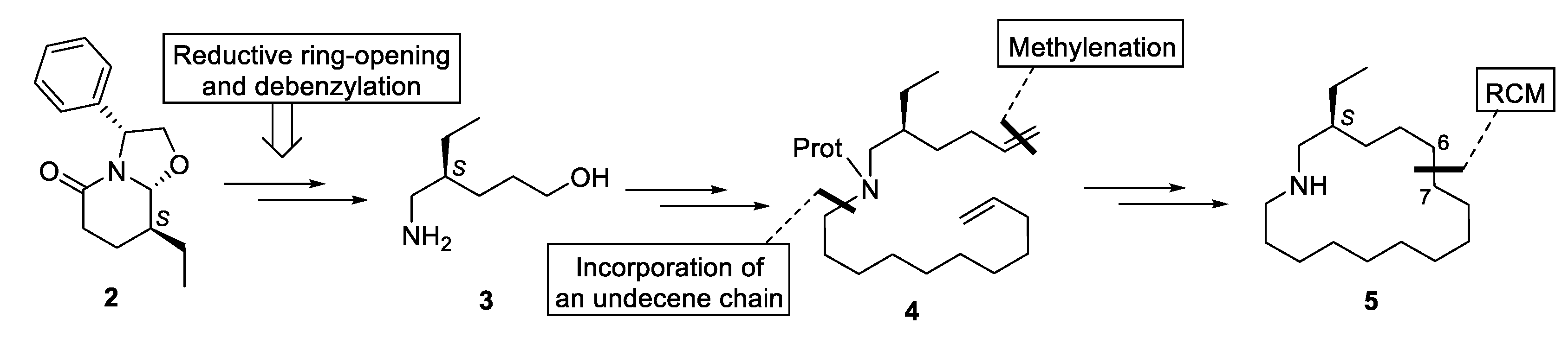 Molecules 24 01069 sch001 550