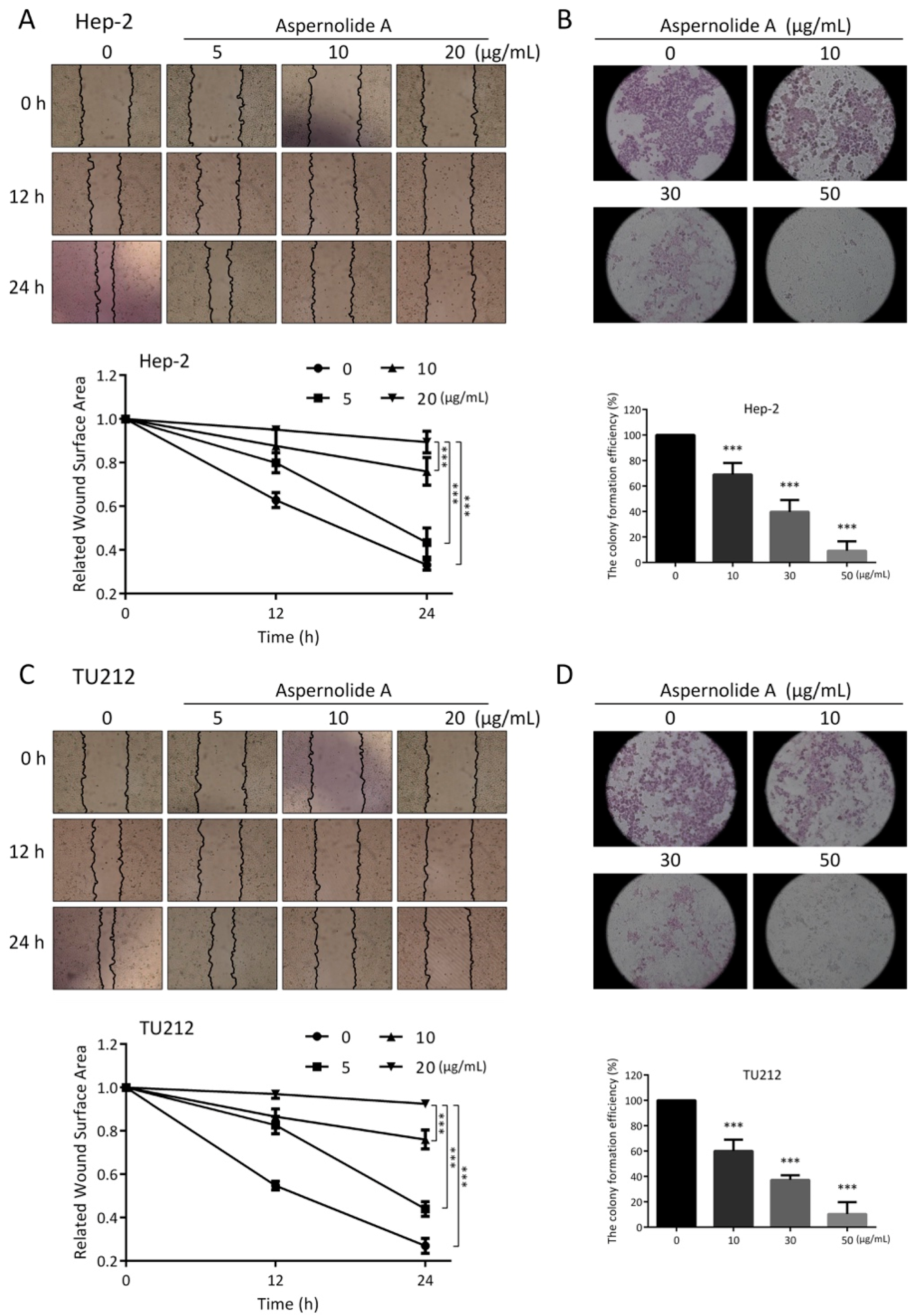 Molecules 24 01074 g003 Molecules 24 01074 g003