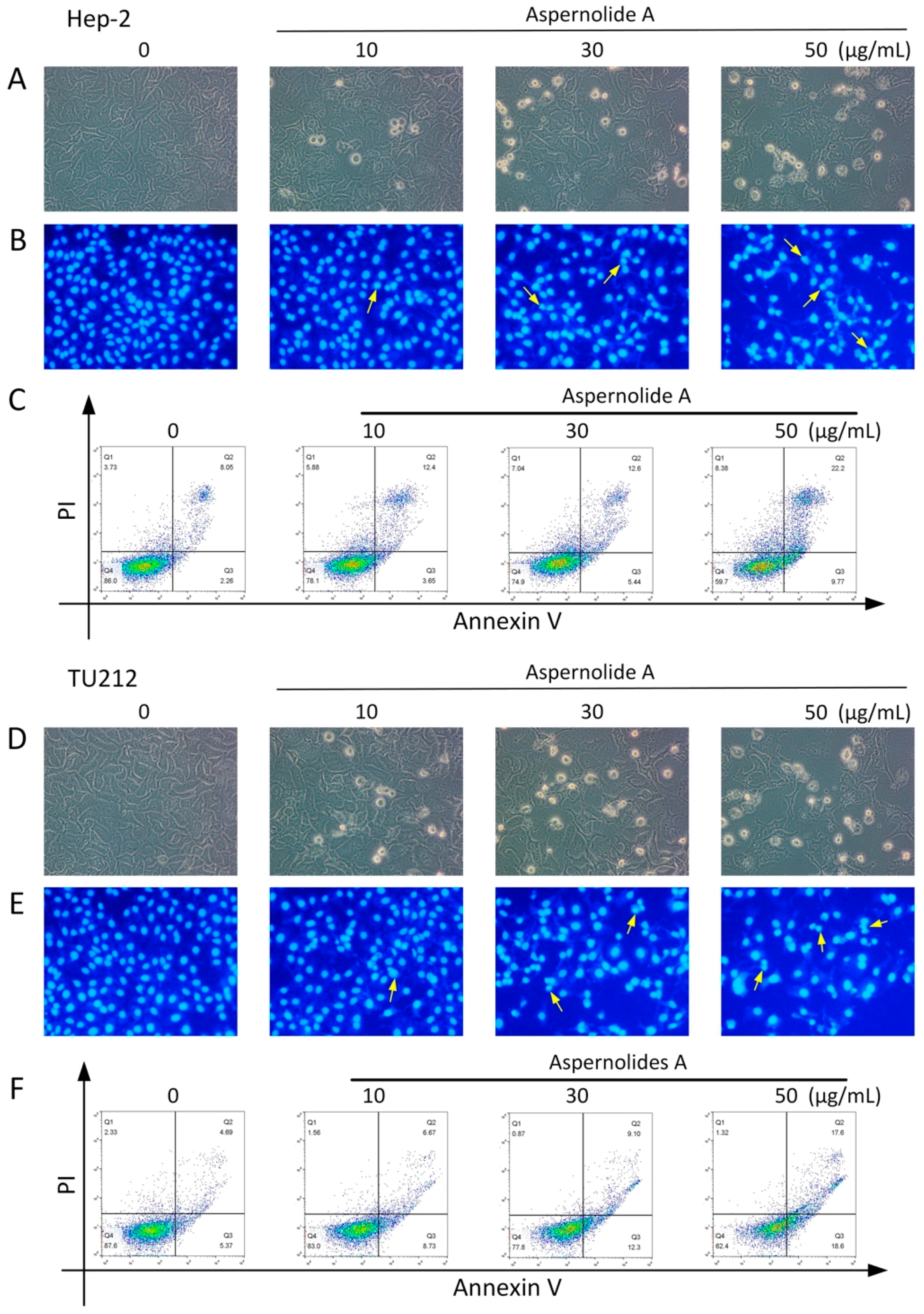 Molecules 24 01074 g004 Molecules 24 01074 g004