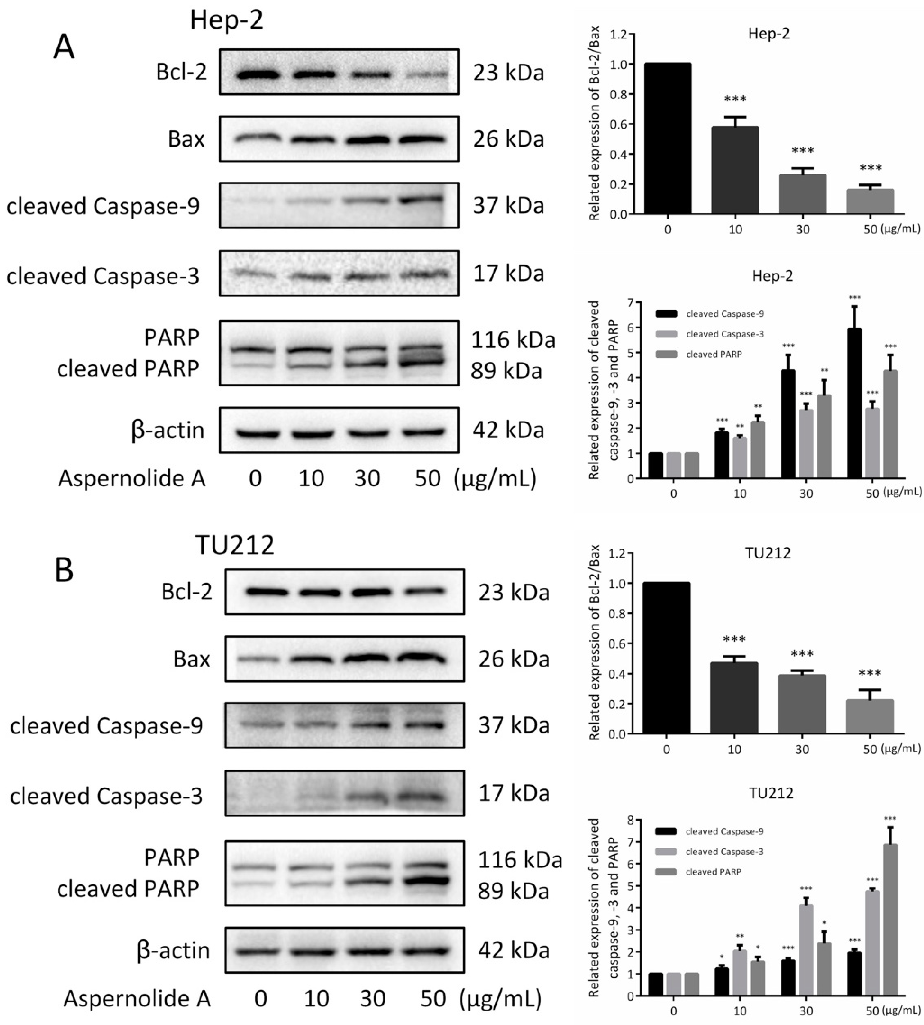Molecules 24 01074 g005 Molecules 24 01074 g005