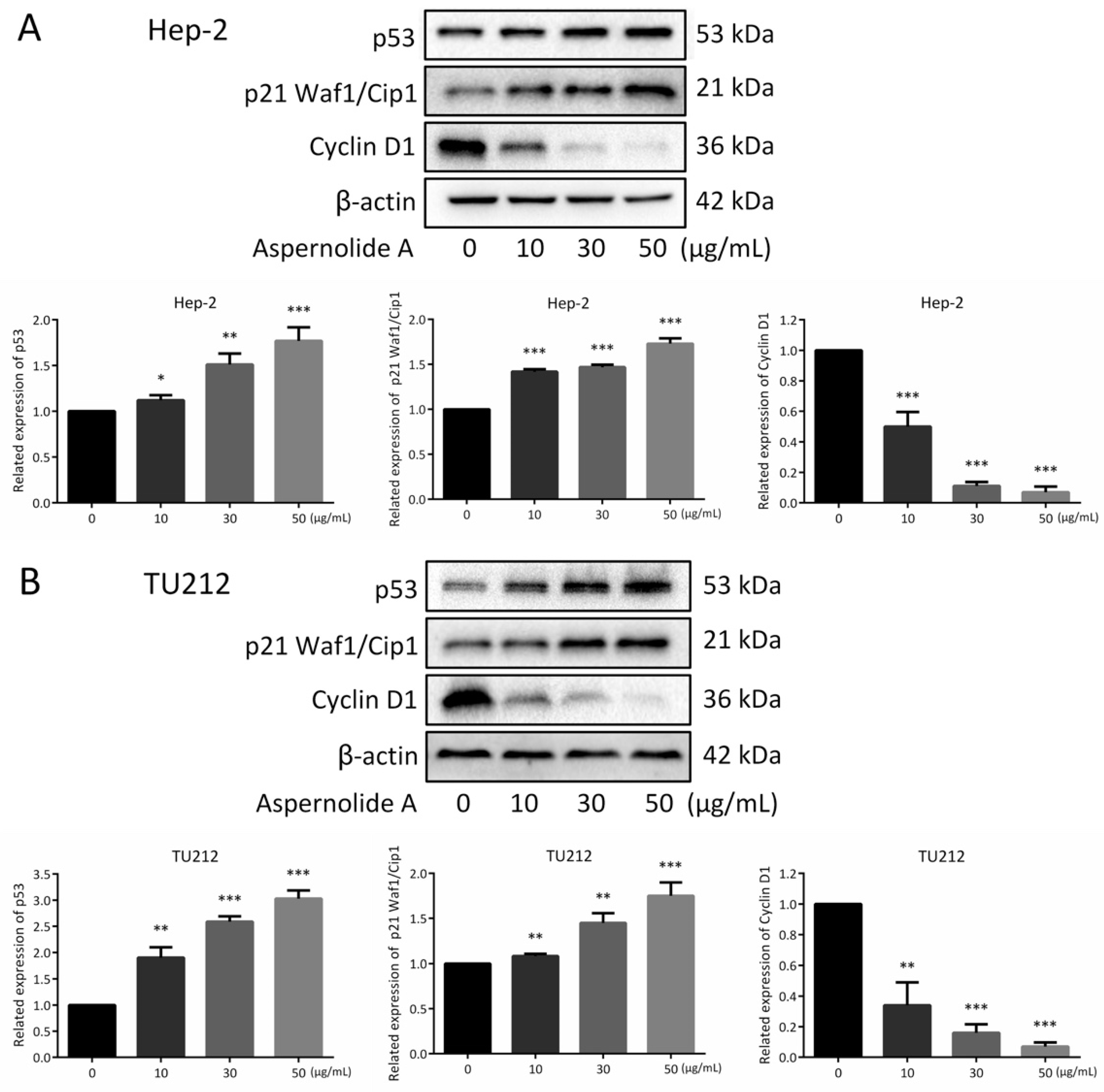 Molecules 24 01074 g007 Molecules 24 01074 g007