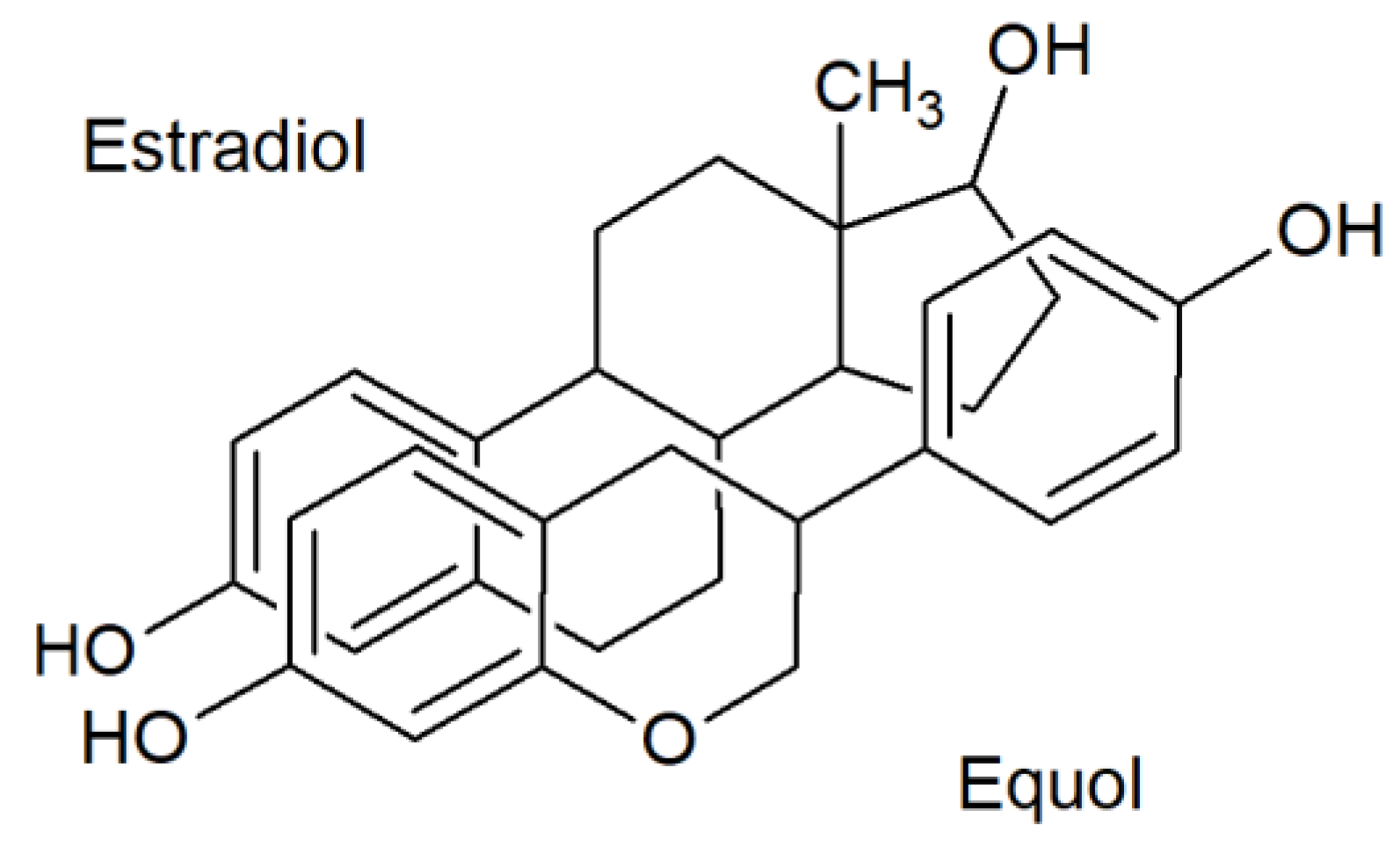 Molecules 24 01076 g001