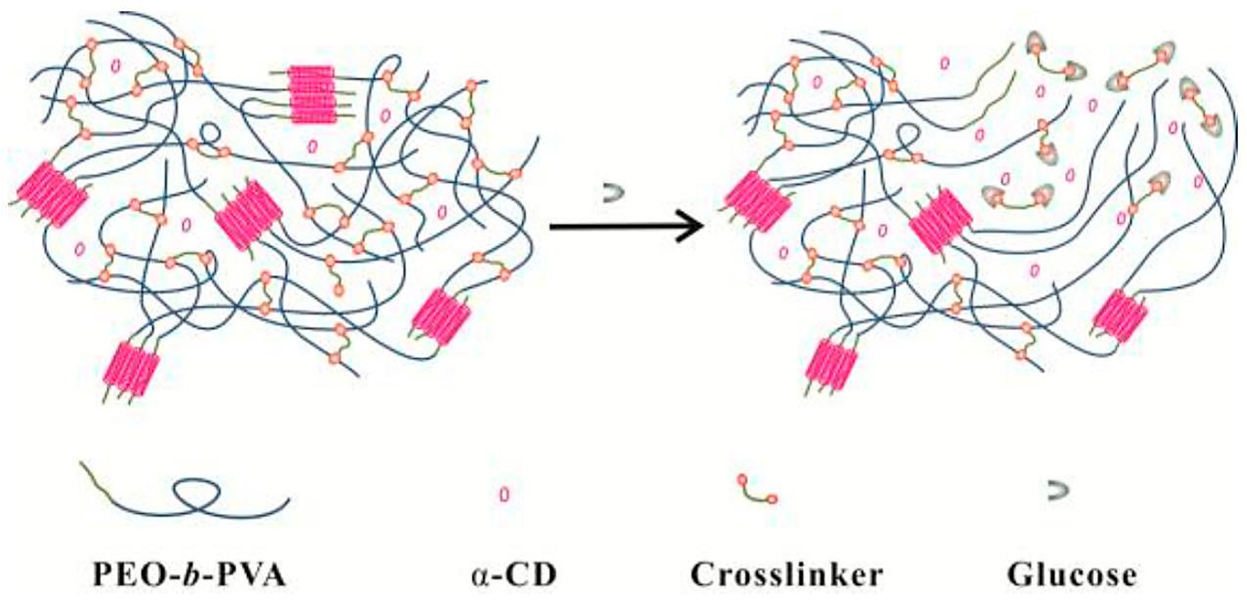 Molecules 24 01089 g002