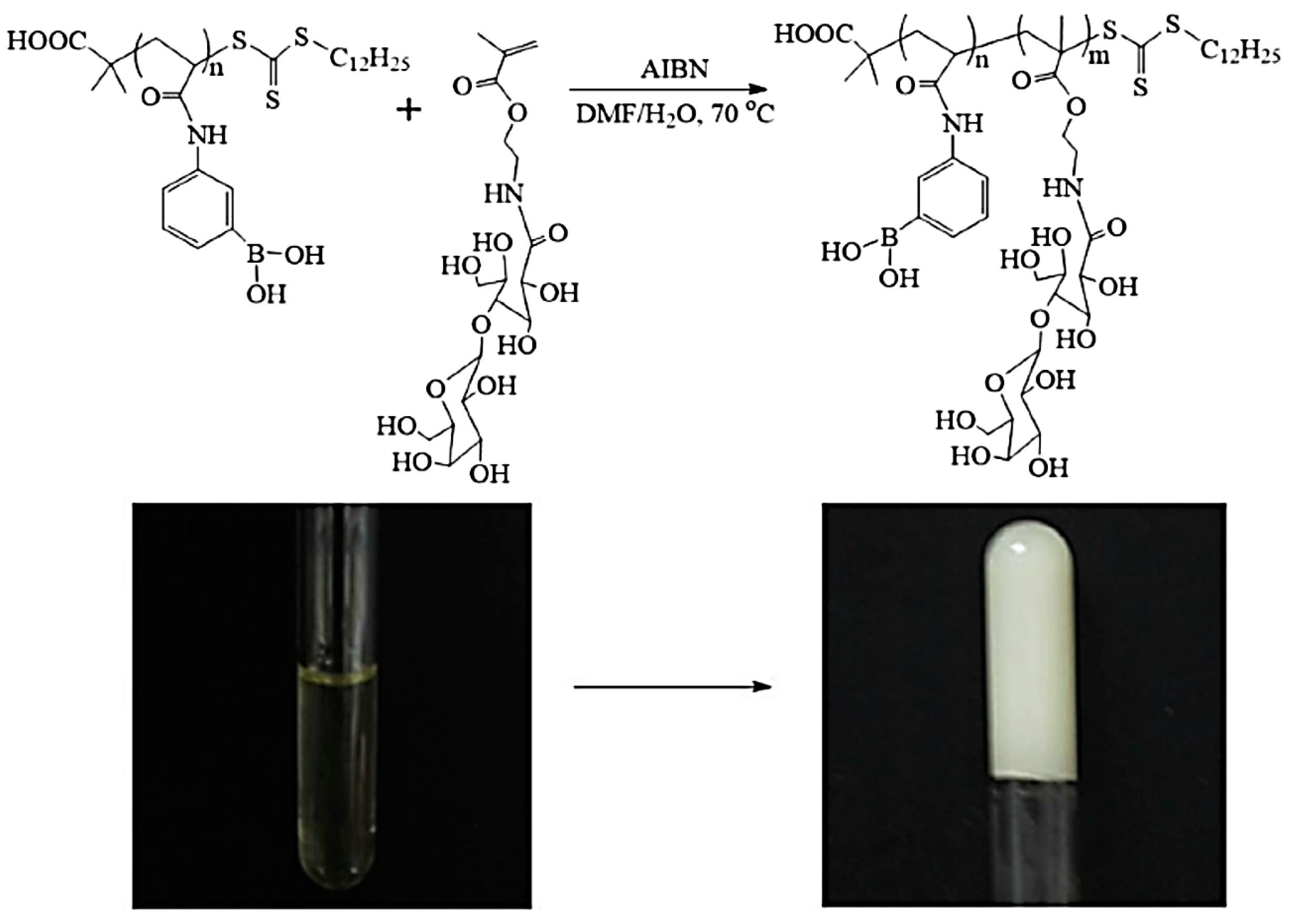 Molecules 24 01089 g003