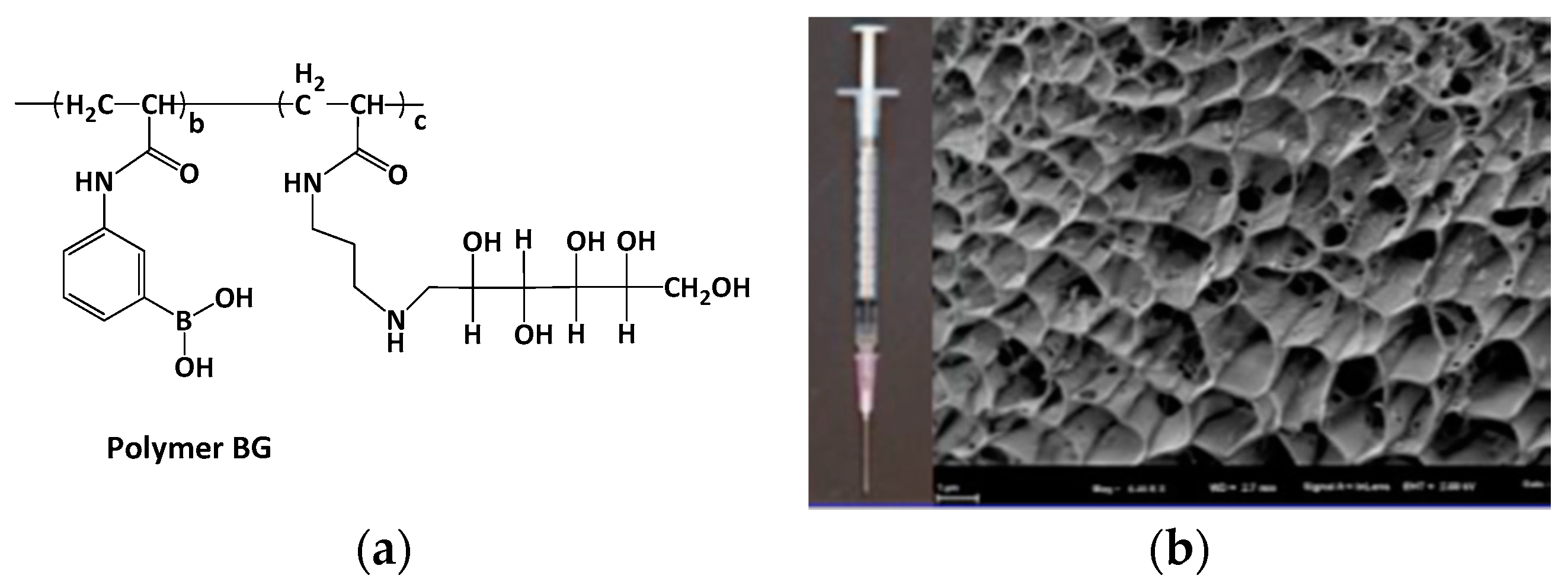 Molecules 24 01089 g004