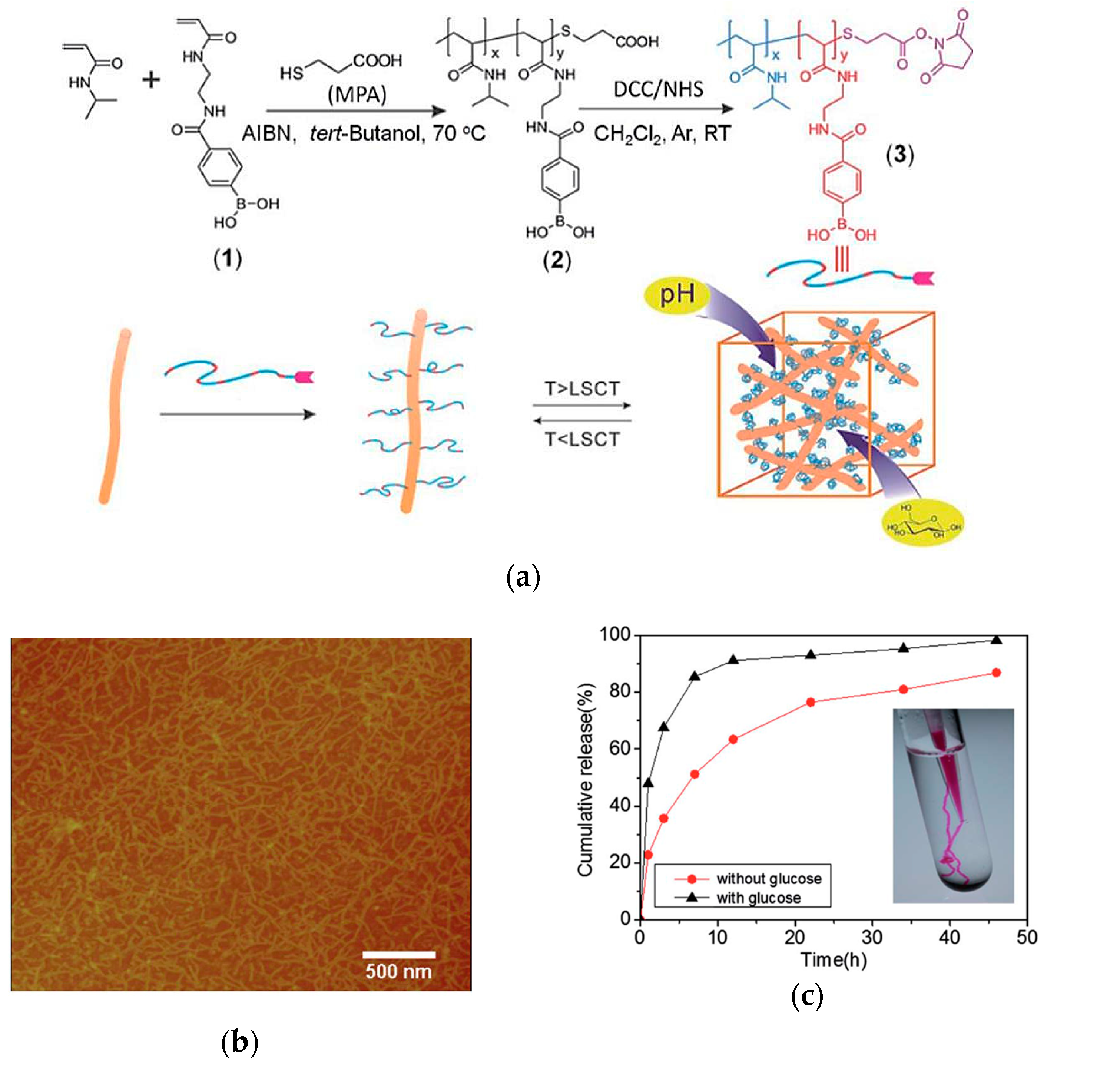 Molecules 24 01089 g005