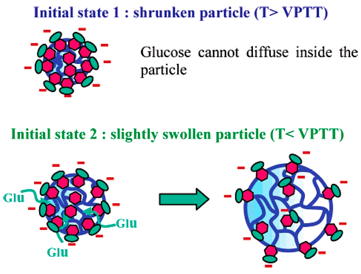 Molecules 24 01089 g006