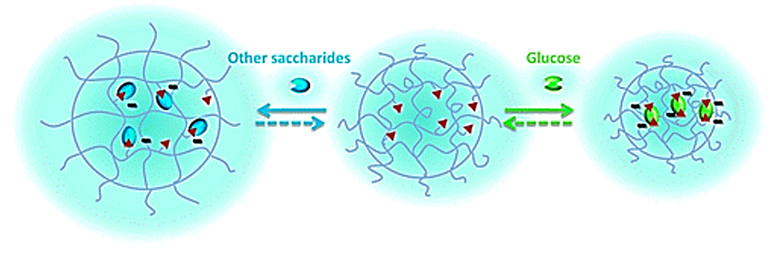 Molecules 24 01089 g007