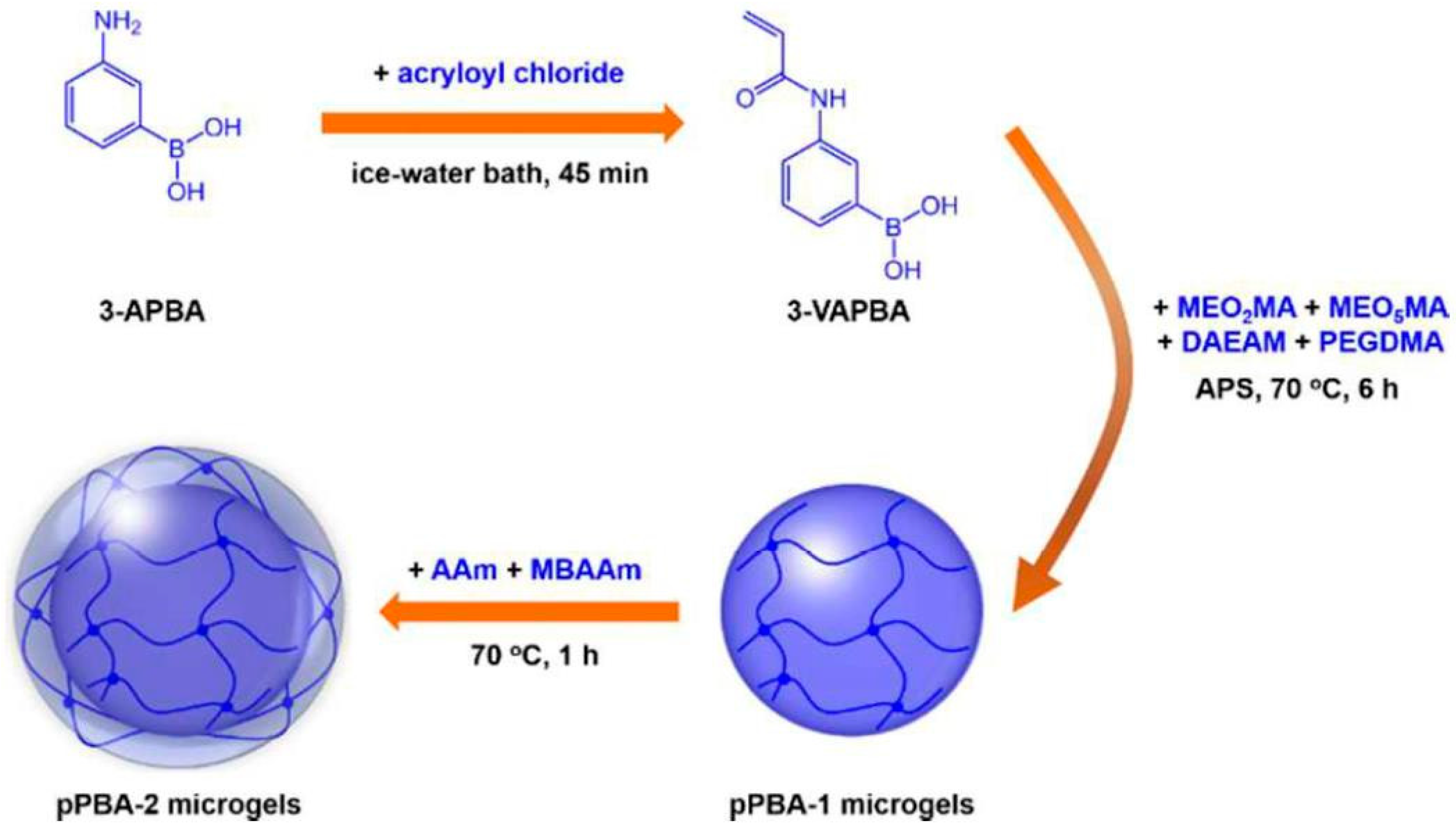 Molecules 24 01089 g008
