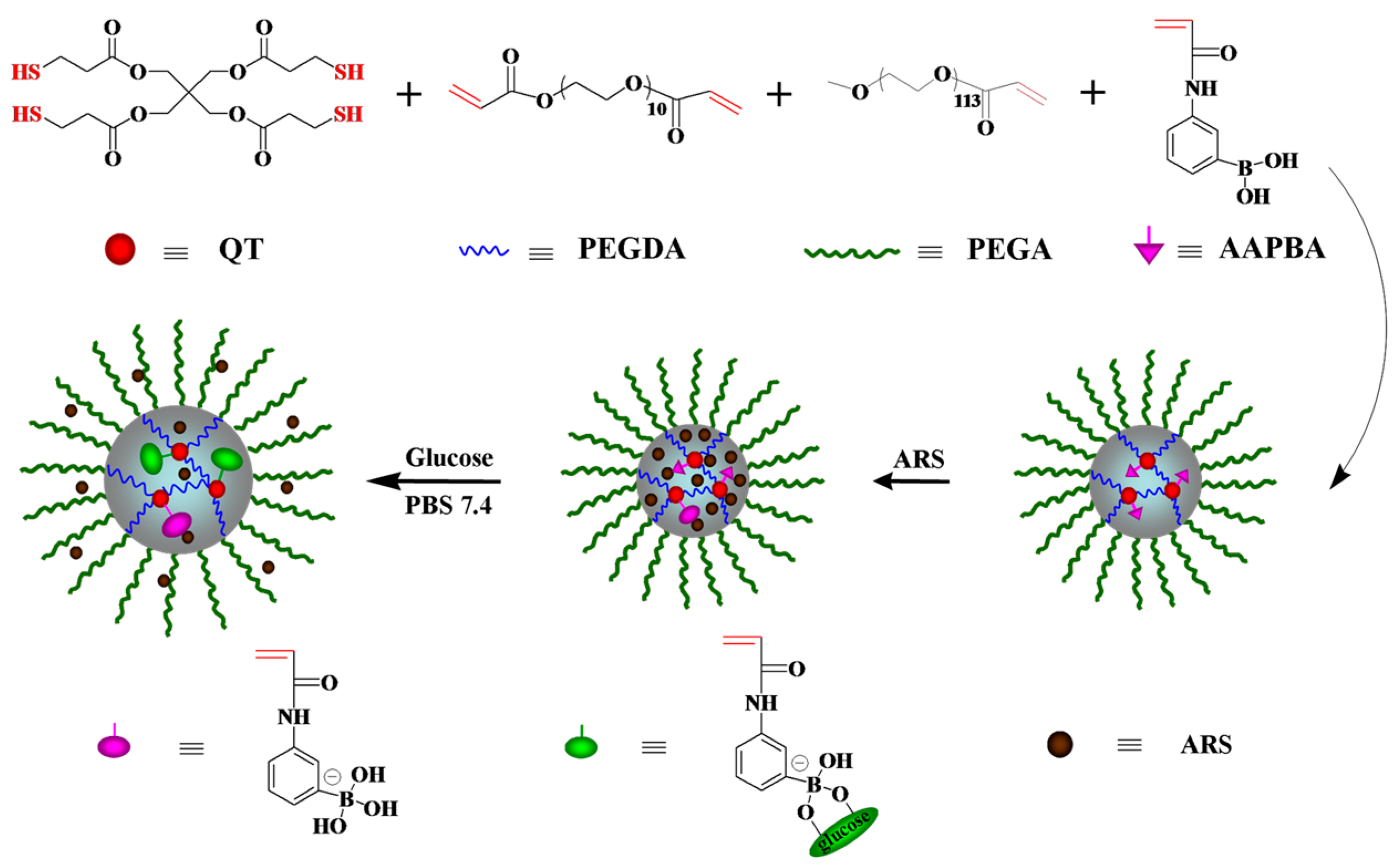 Molecules 24 01089 g011