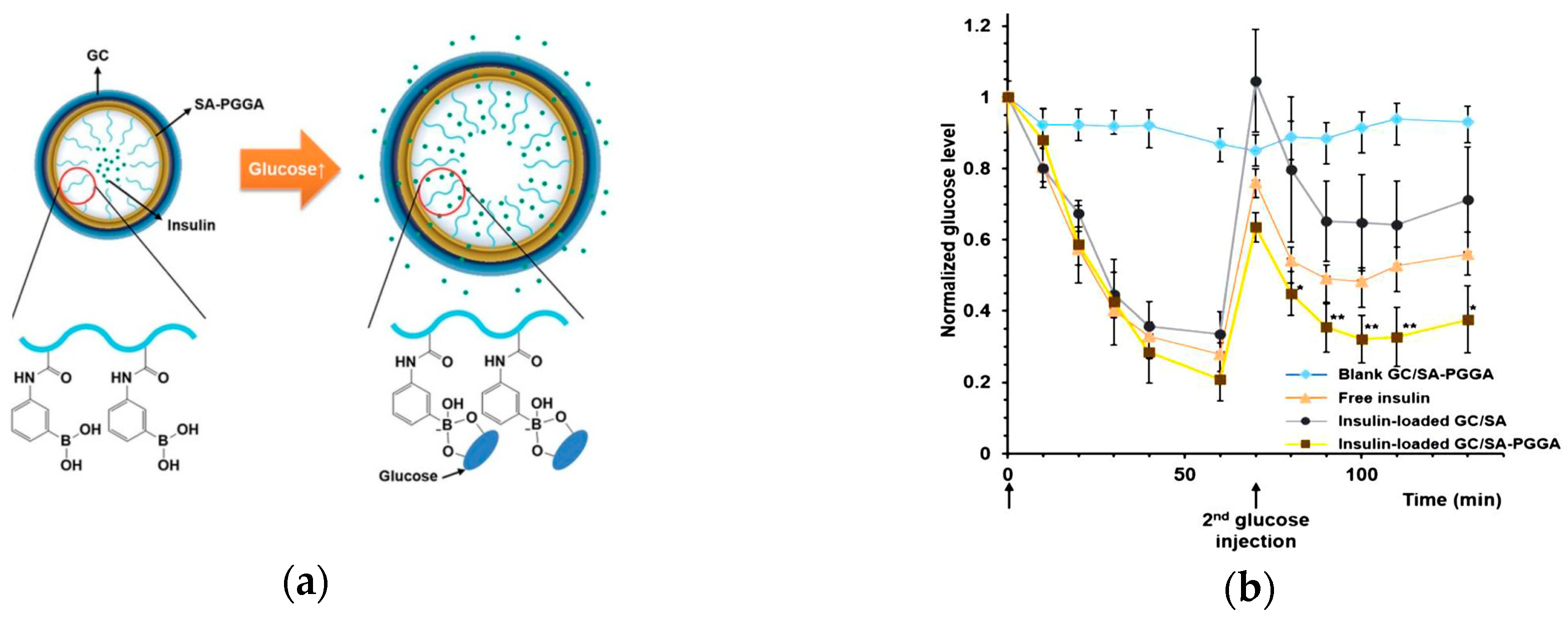 Molecules 24 01089 g013