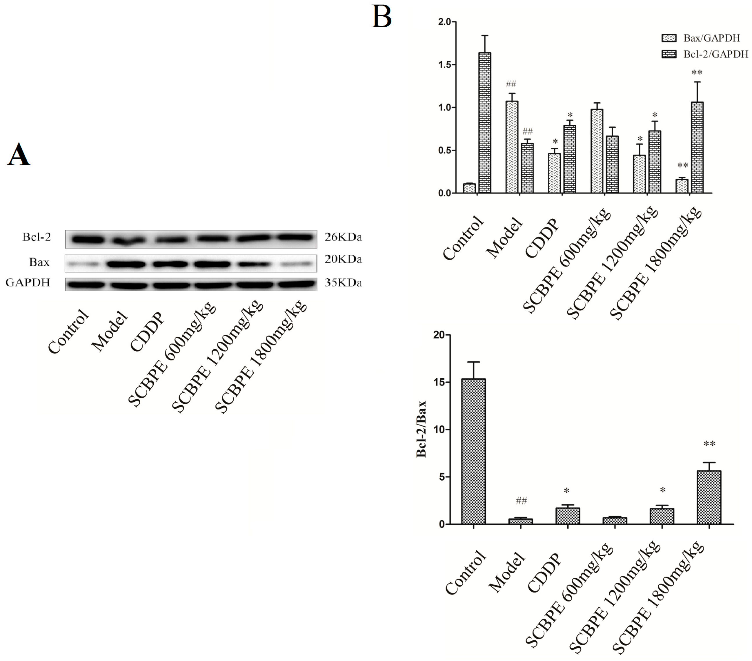 ser antioxidant sophyto anti-imbatranire