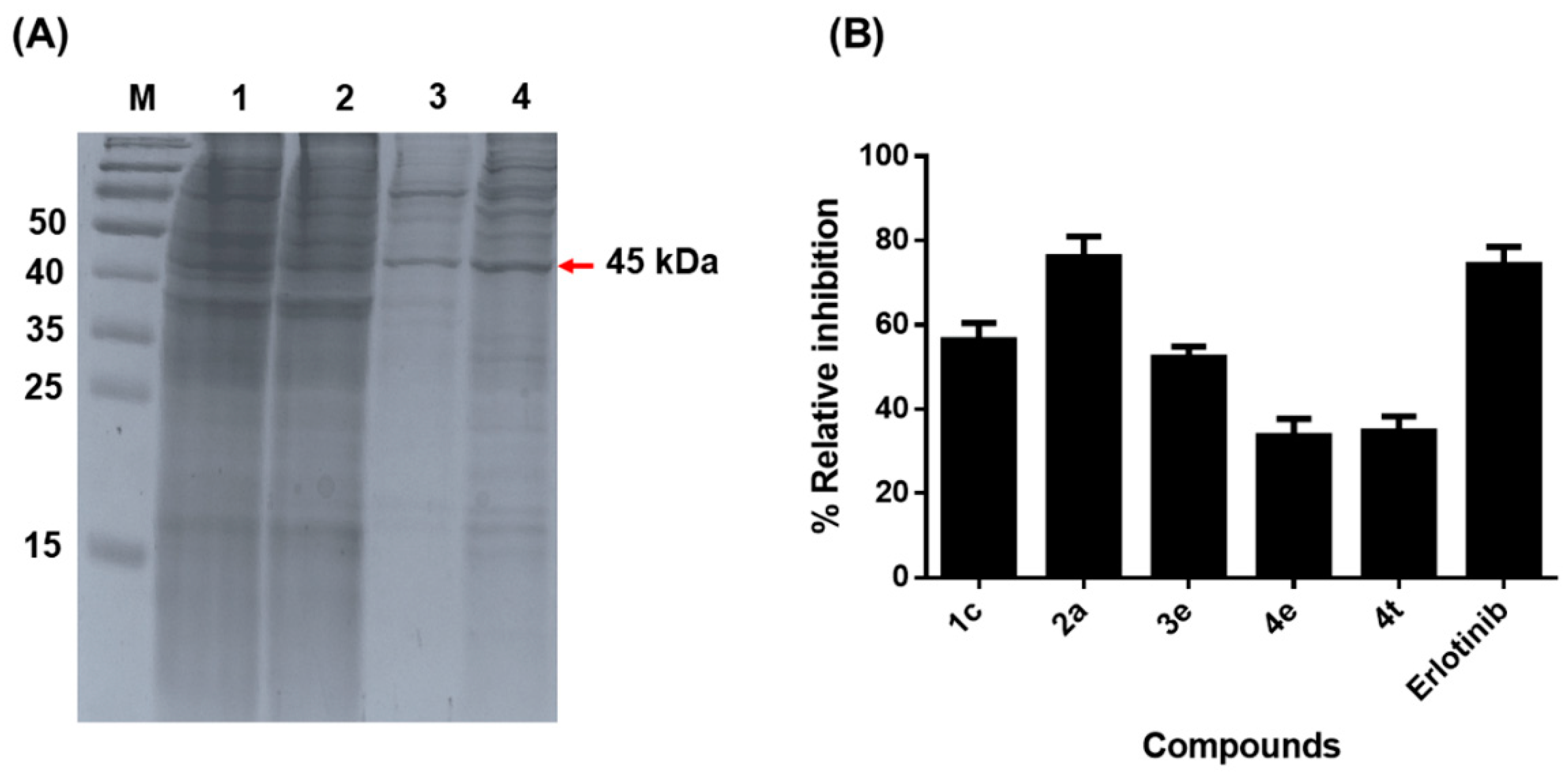 Molecules 24 01092 g003