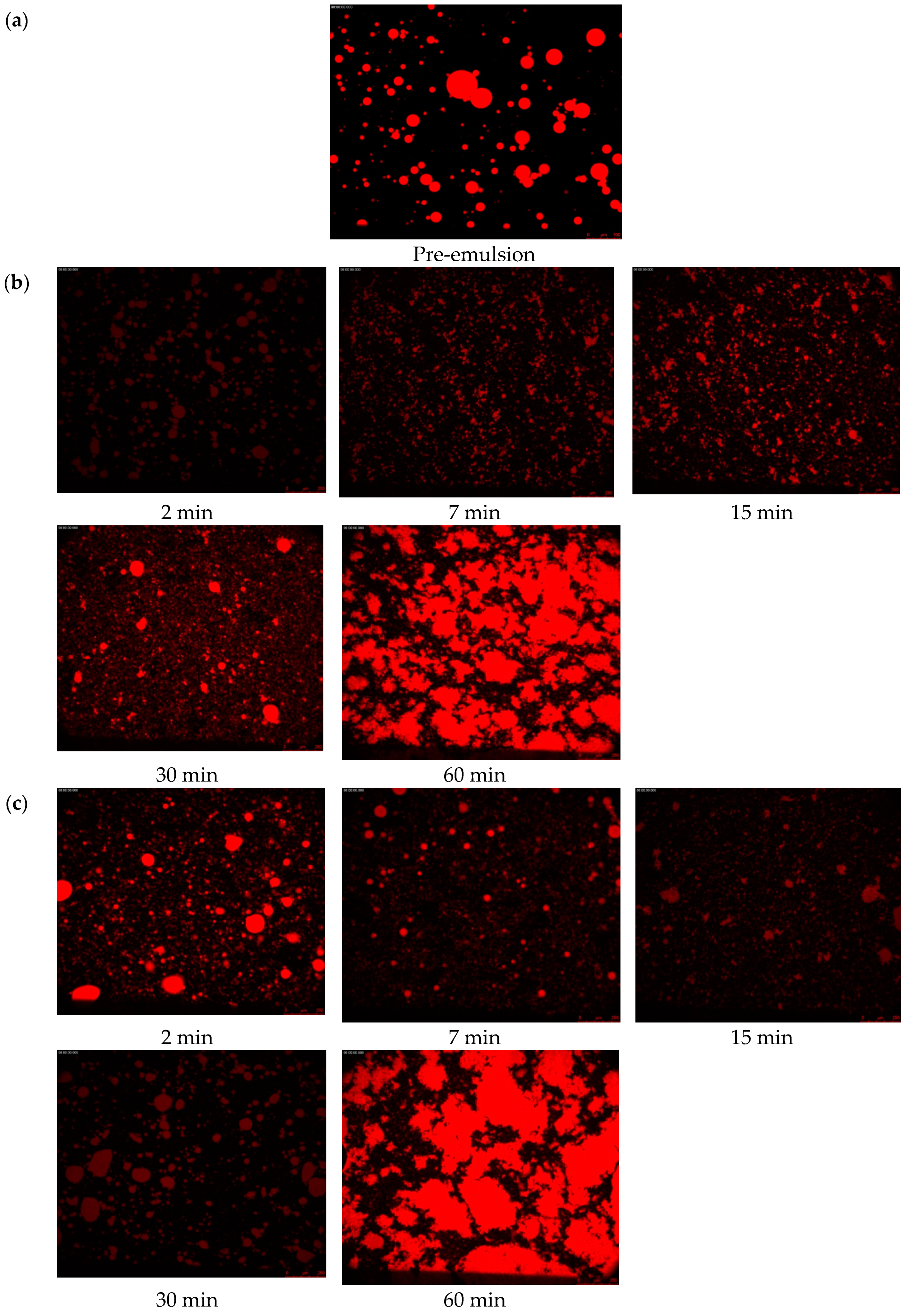 Molecules 24 01097 g008