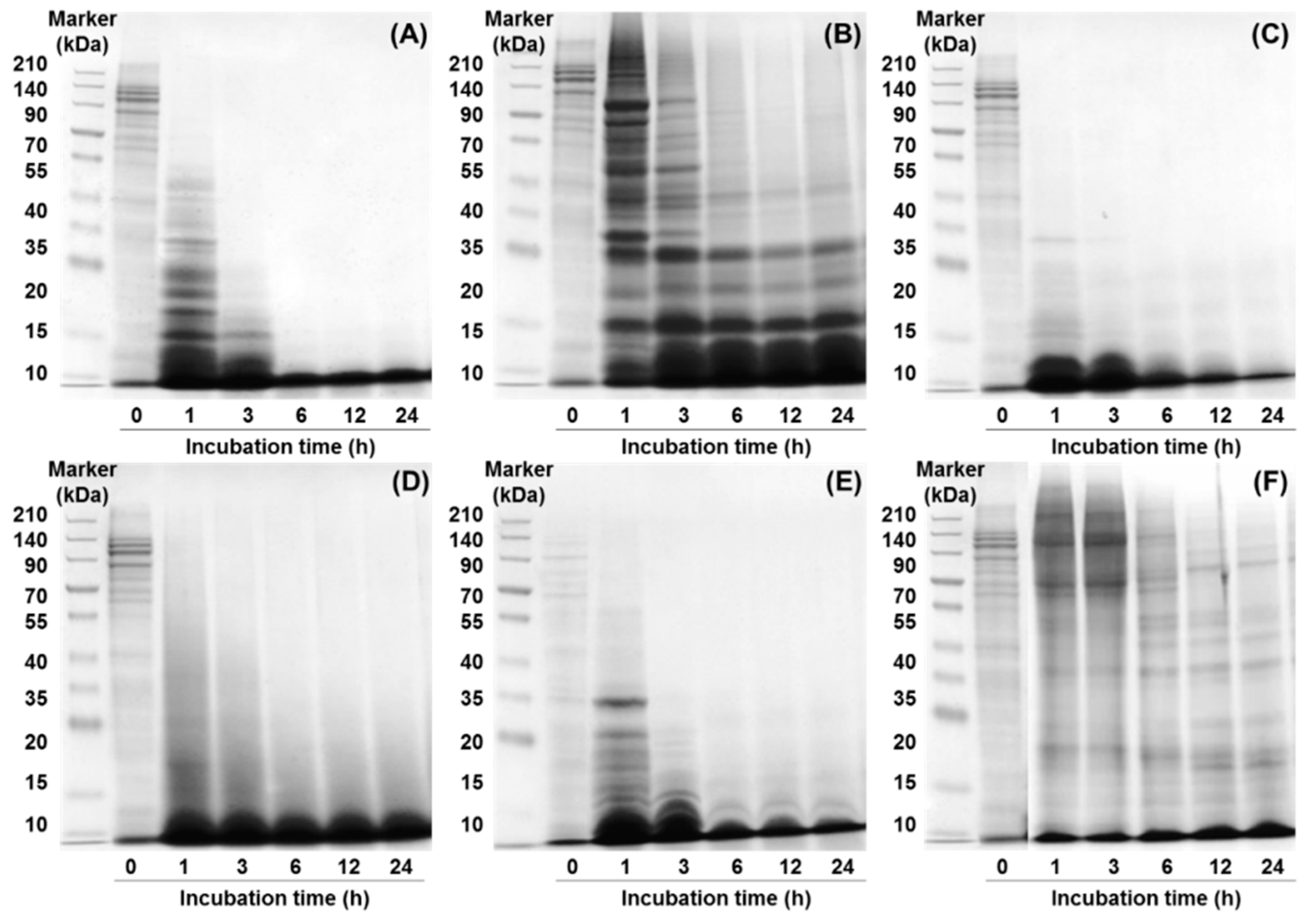 Molecules 24 01104 g002 Molecules 24 01104 g002