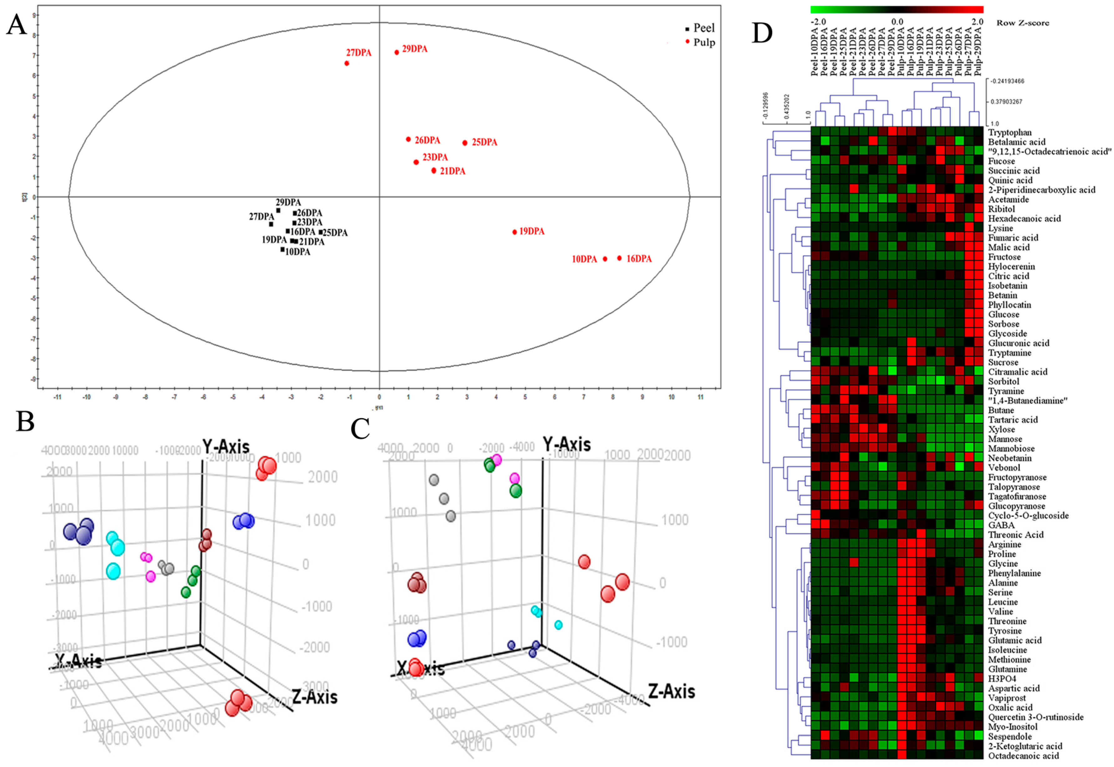 Molecules 24 01114 g004