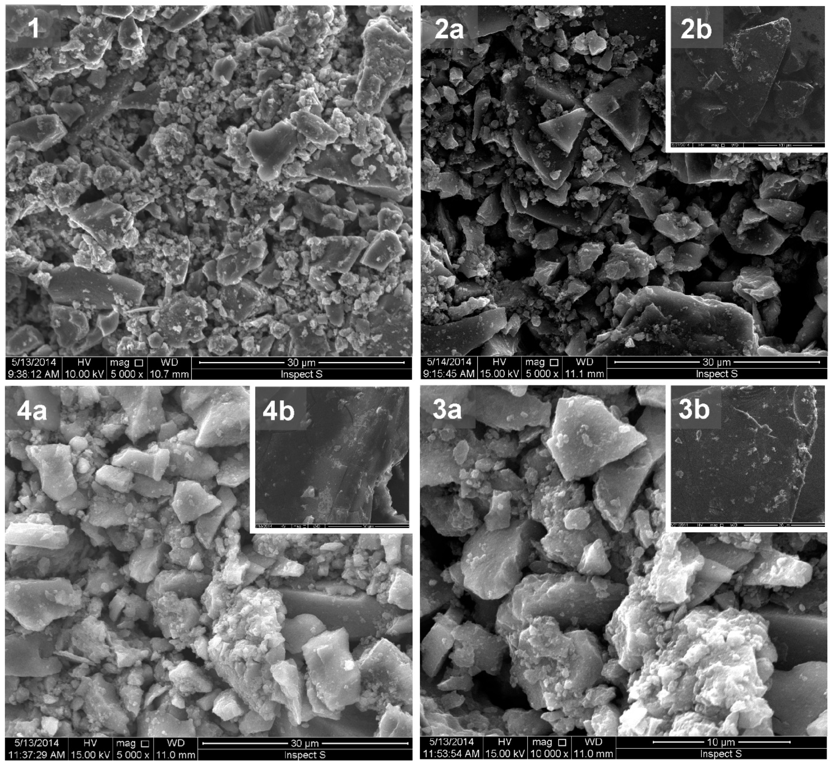 Molecules 24 01118 g005 Molecules 24 01118 g005