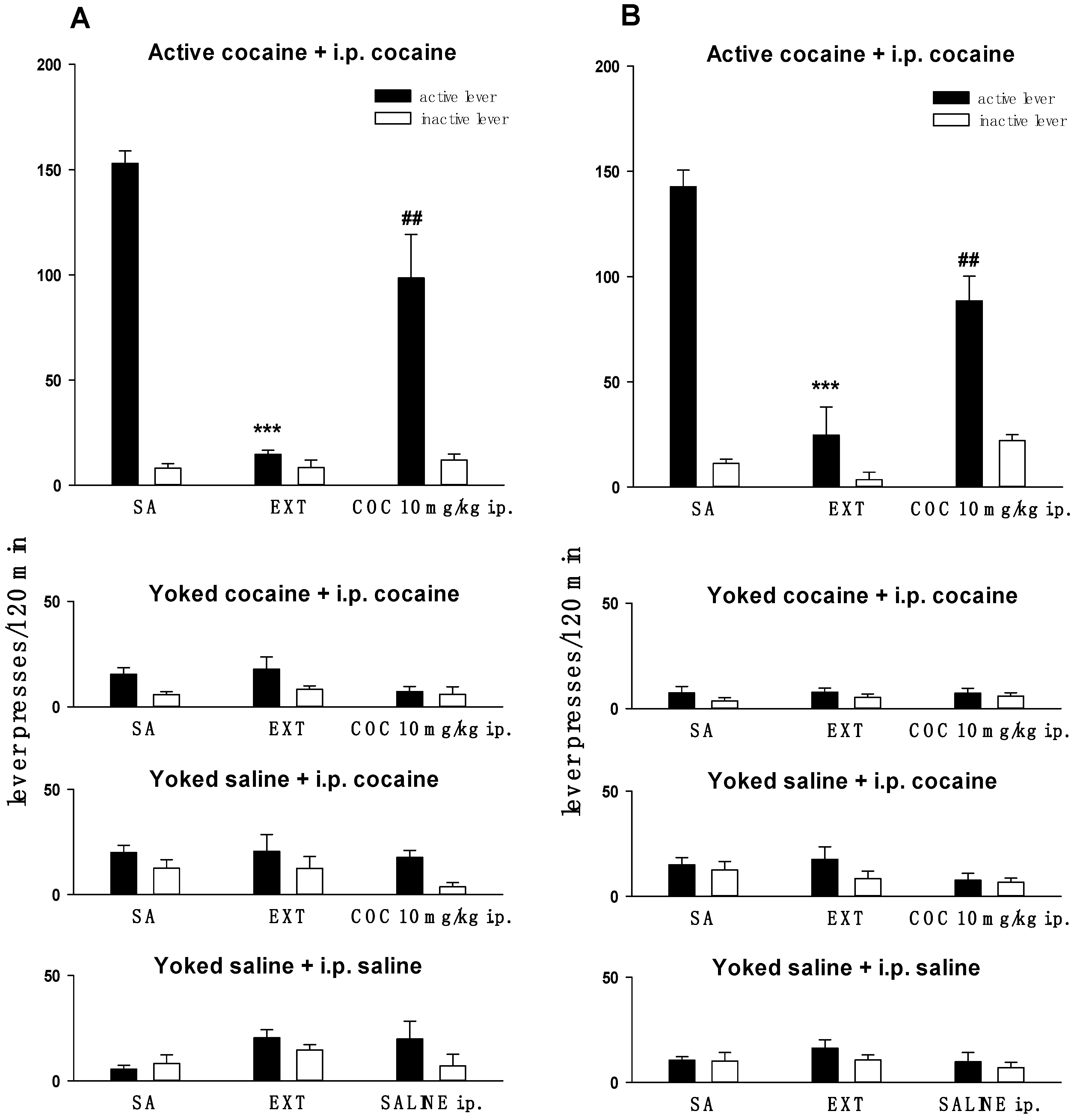 Molecules 24 01125 g001