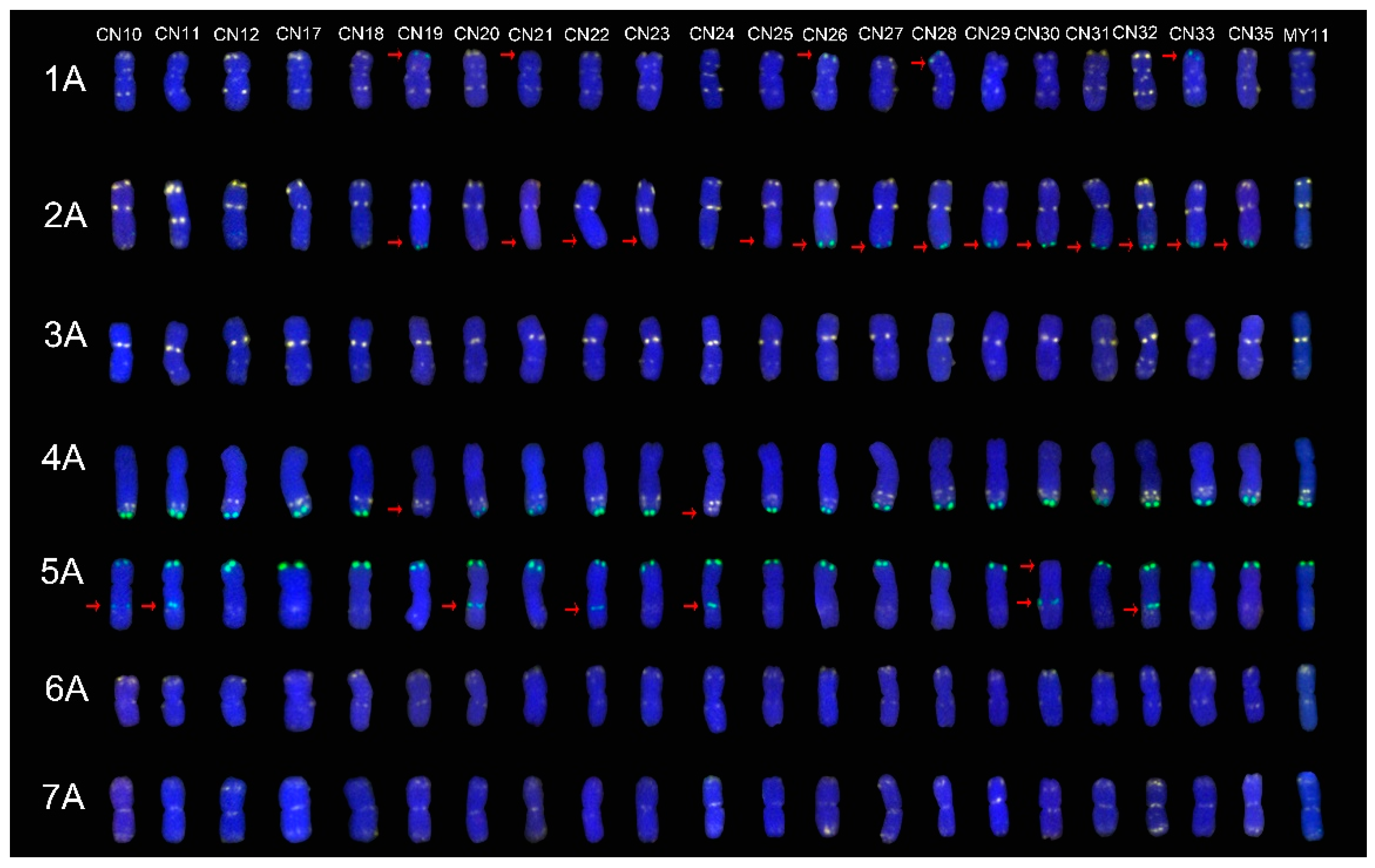 Molecules 24 01126 g001