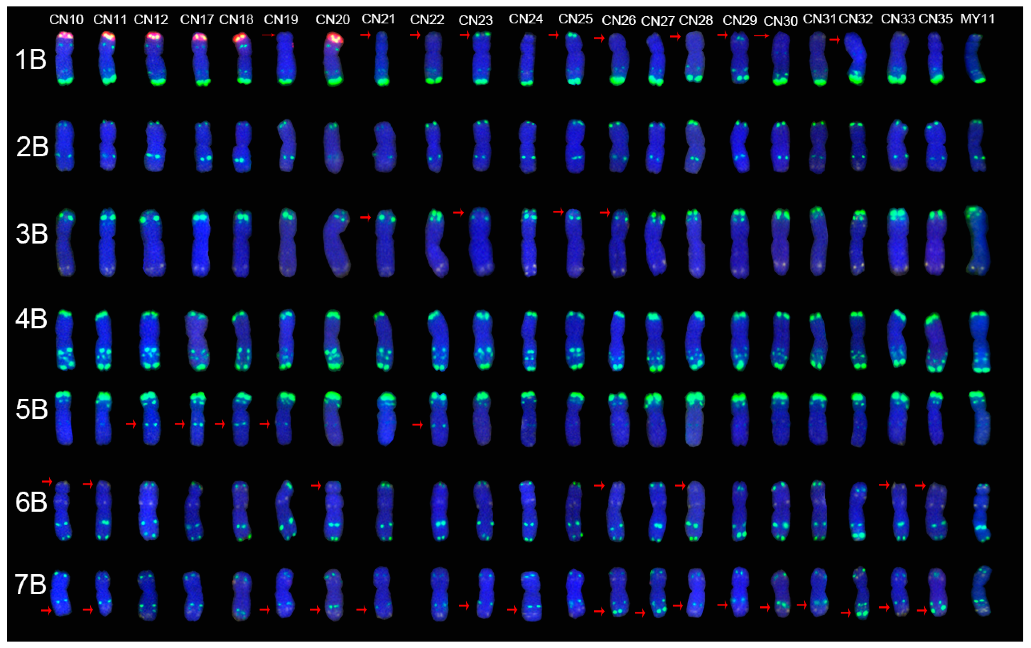 Molecules 24 01126 g002