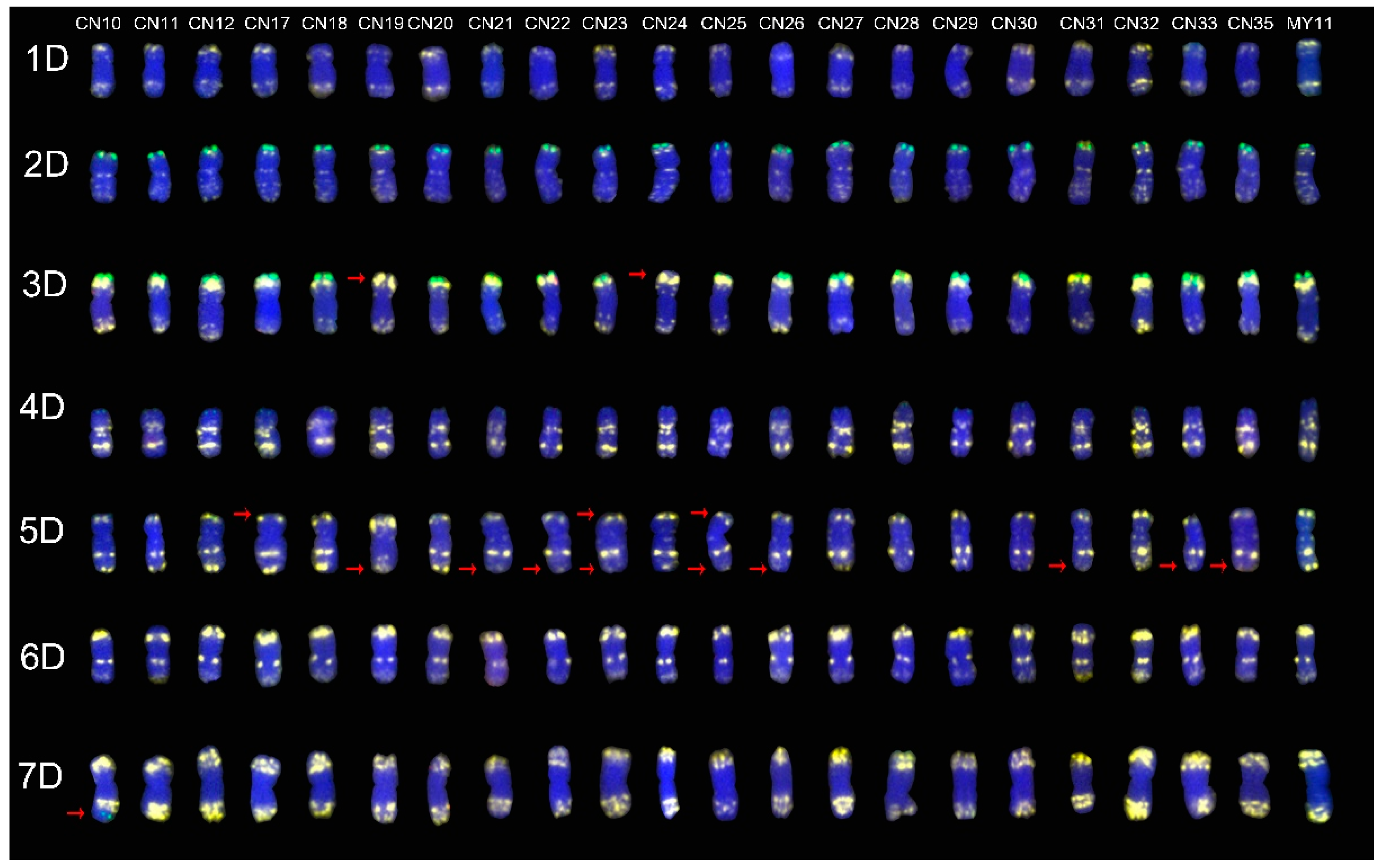 Molecules 24 01126 g003