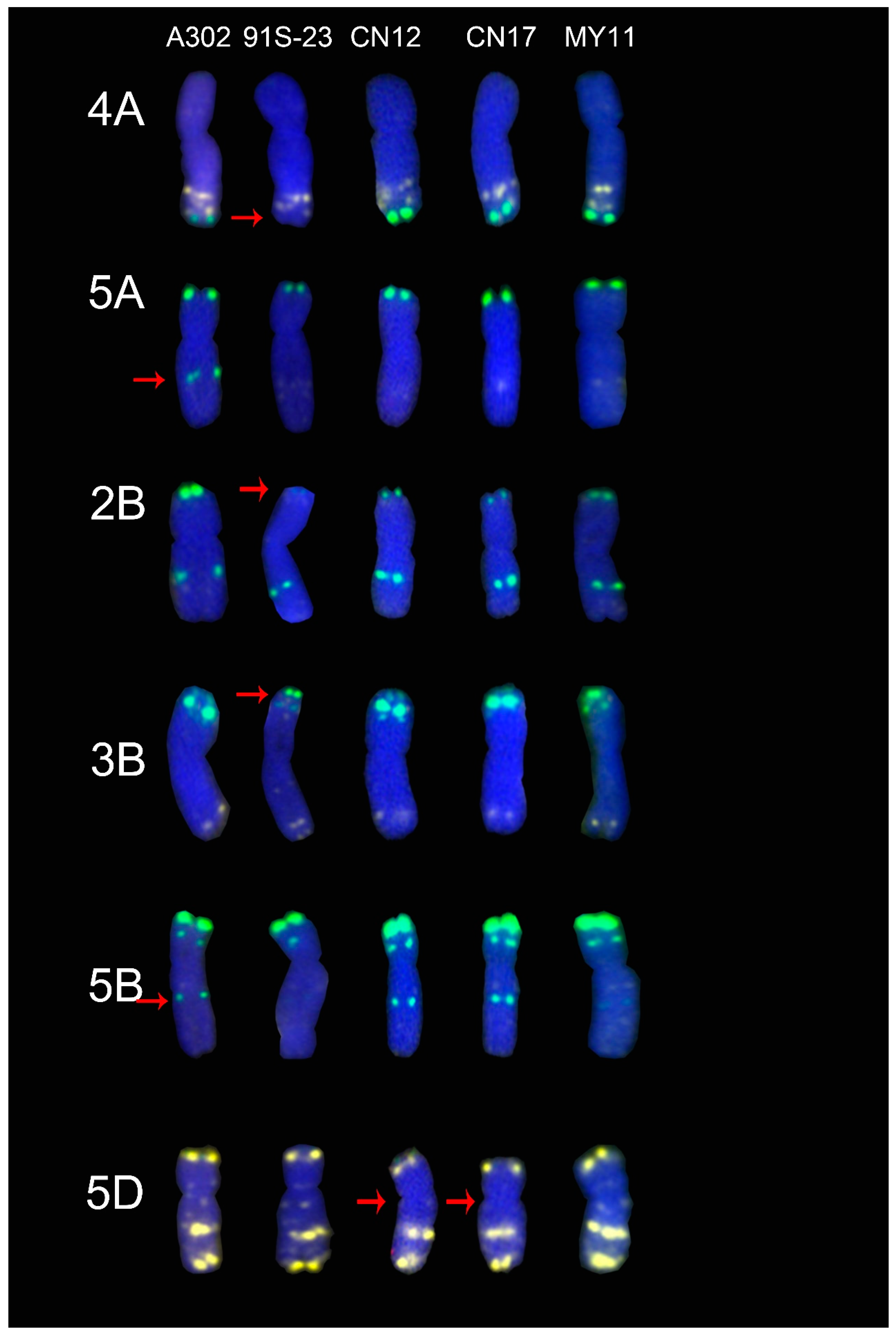 Molecules 24 01126 g004
