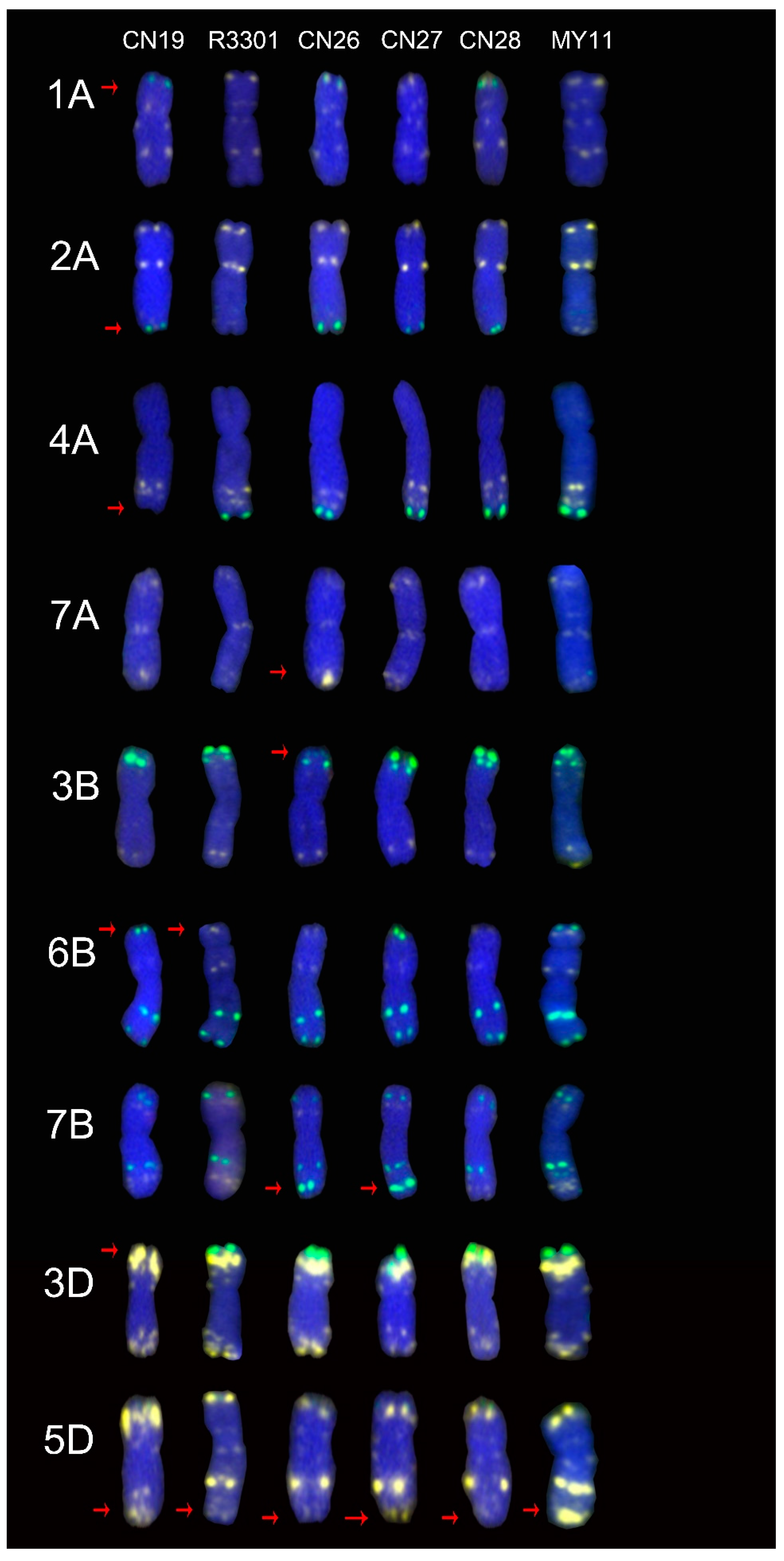 Molecules 24 01126 g005