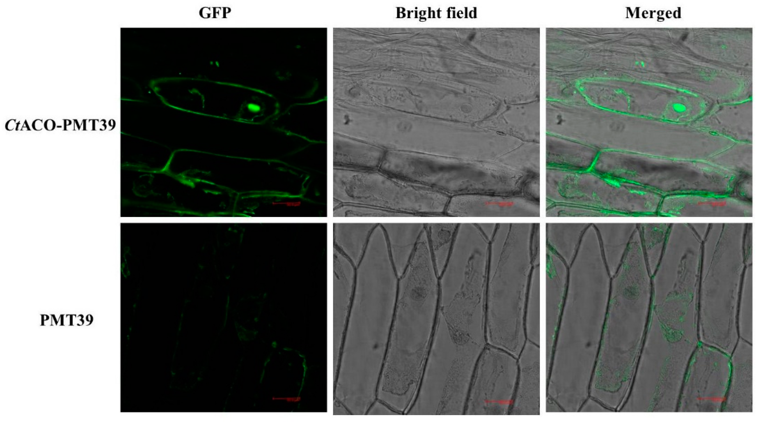 Molecules 24 01128 g003 550