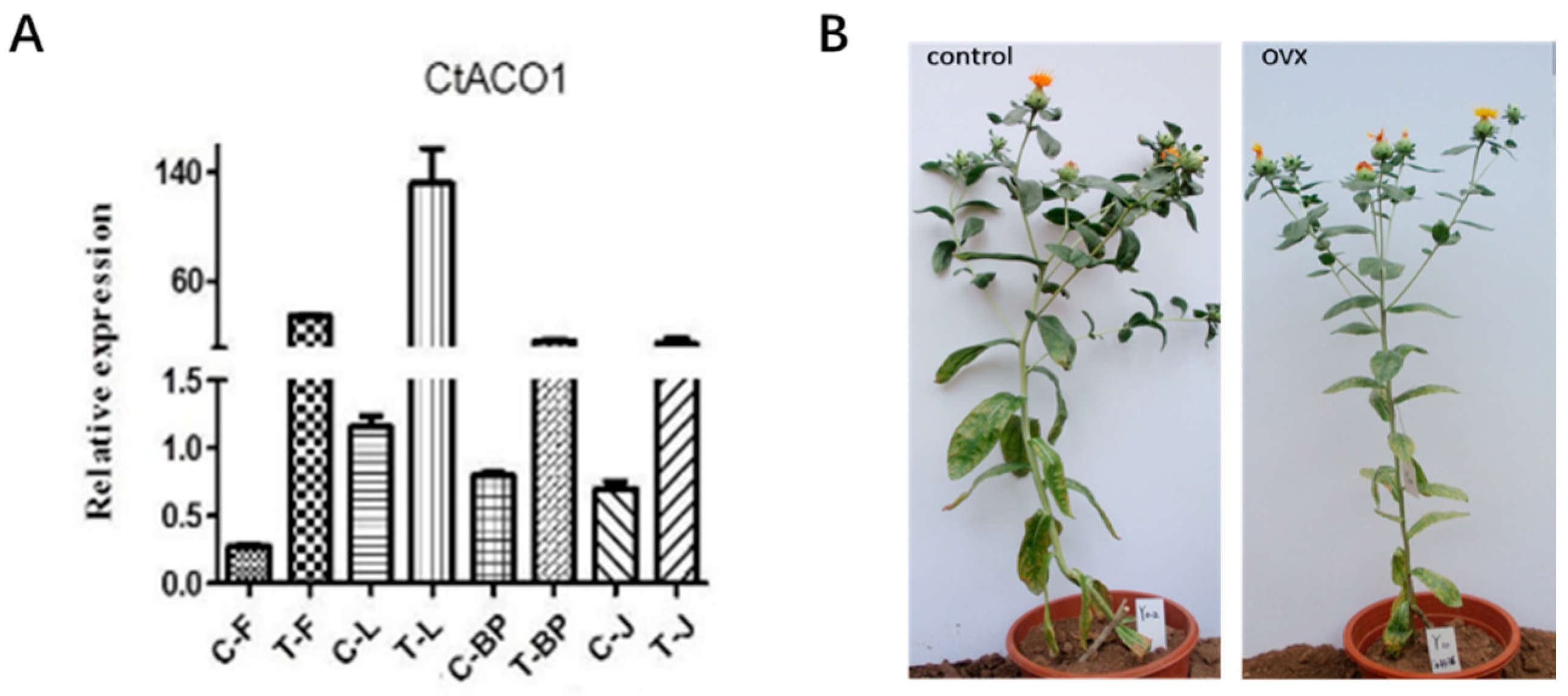 Molecules 24 01128 g004 550