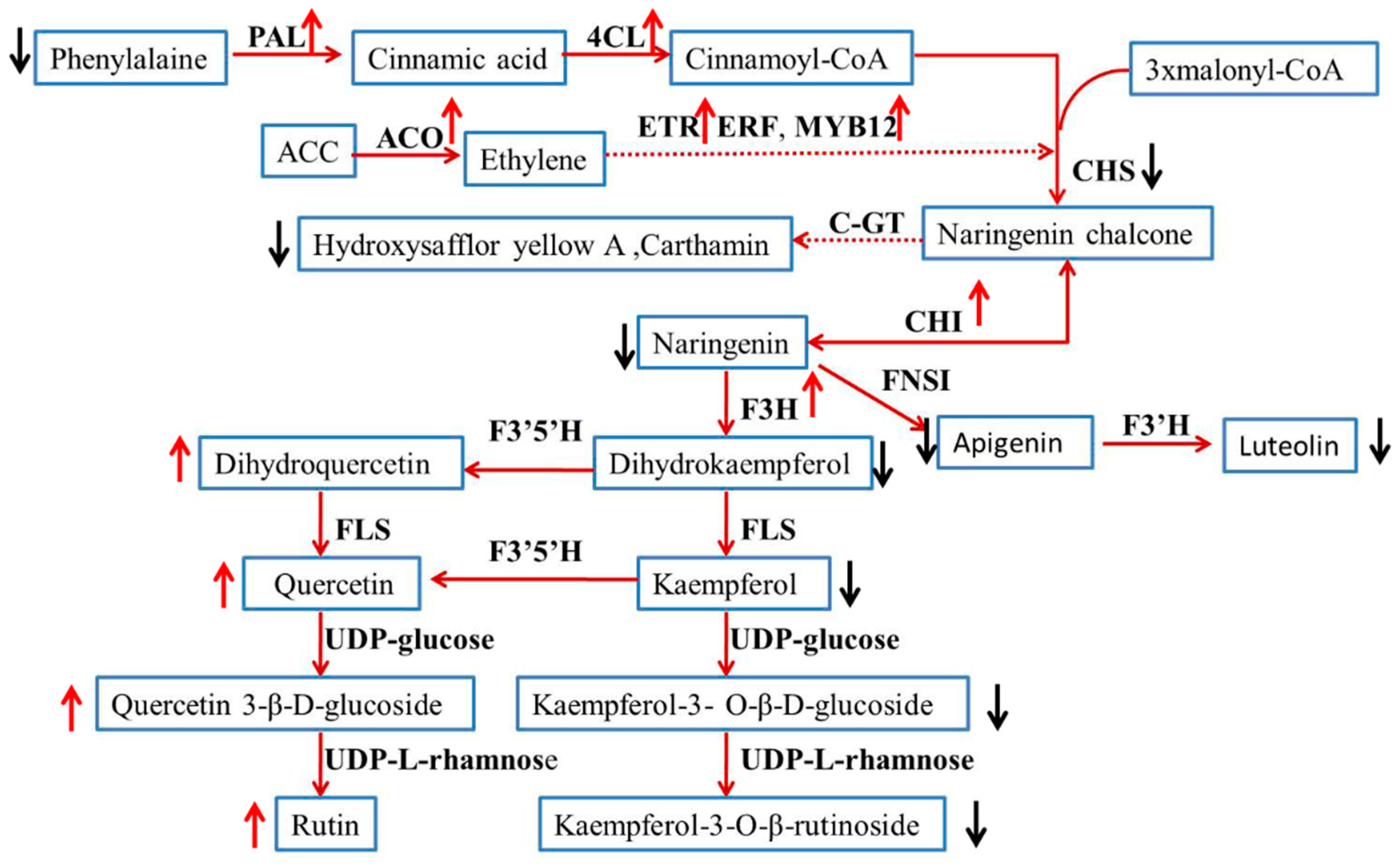 Molecules 24 01128 g013 550