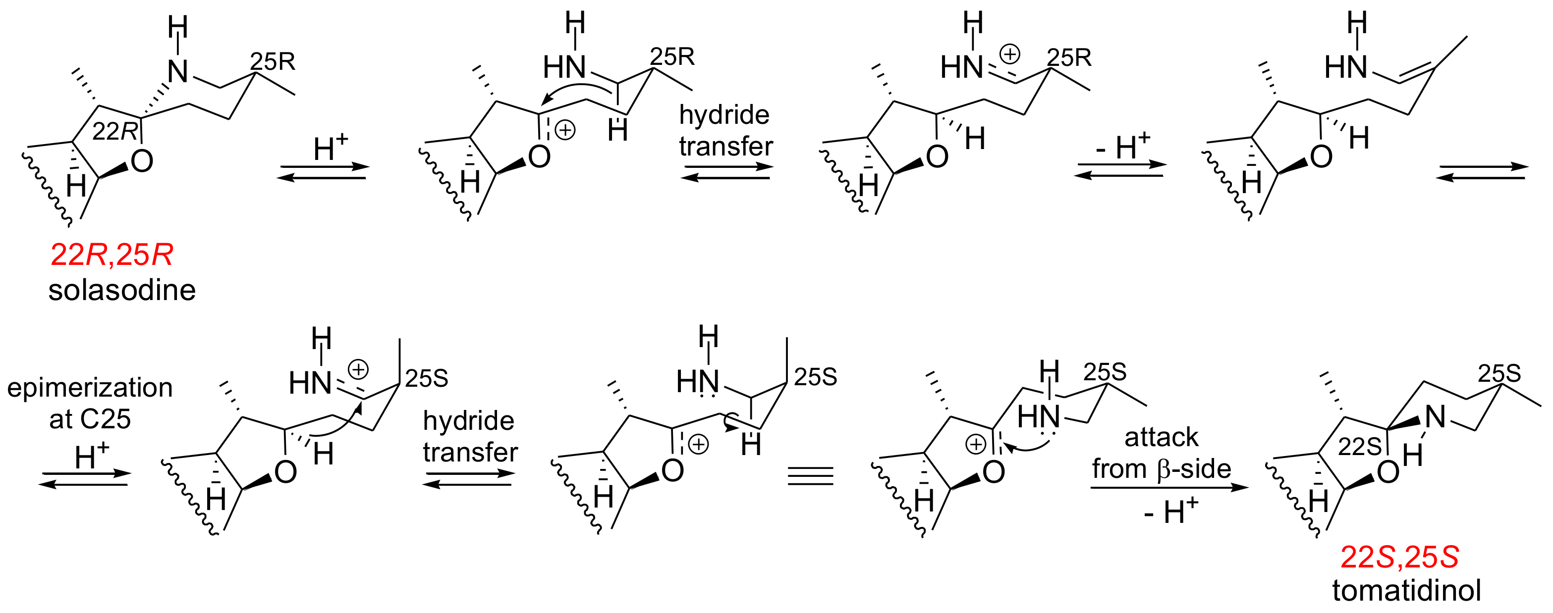 Molecules 24 01132 sch003 550