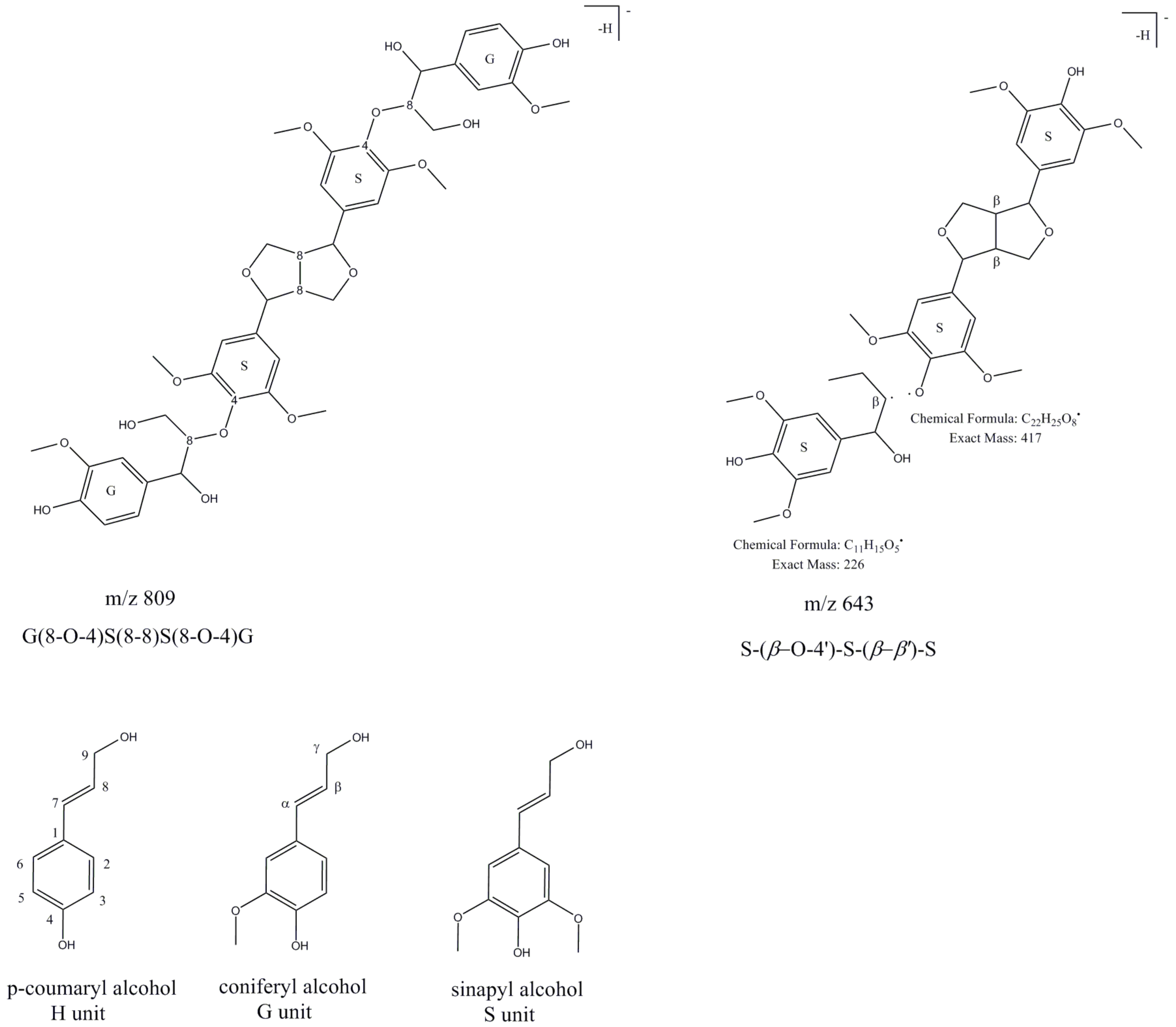 Molecules 24 01136 g006