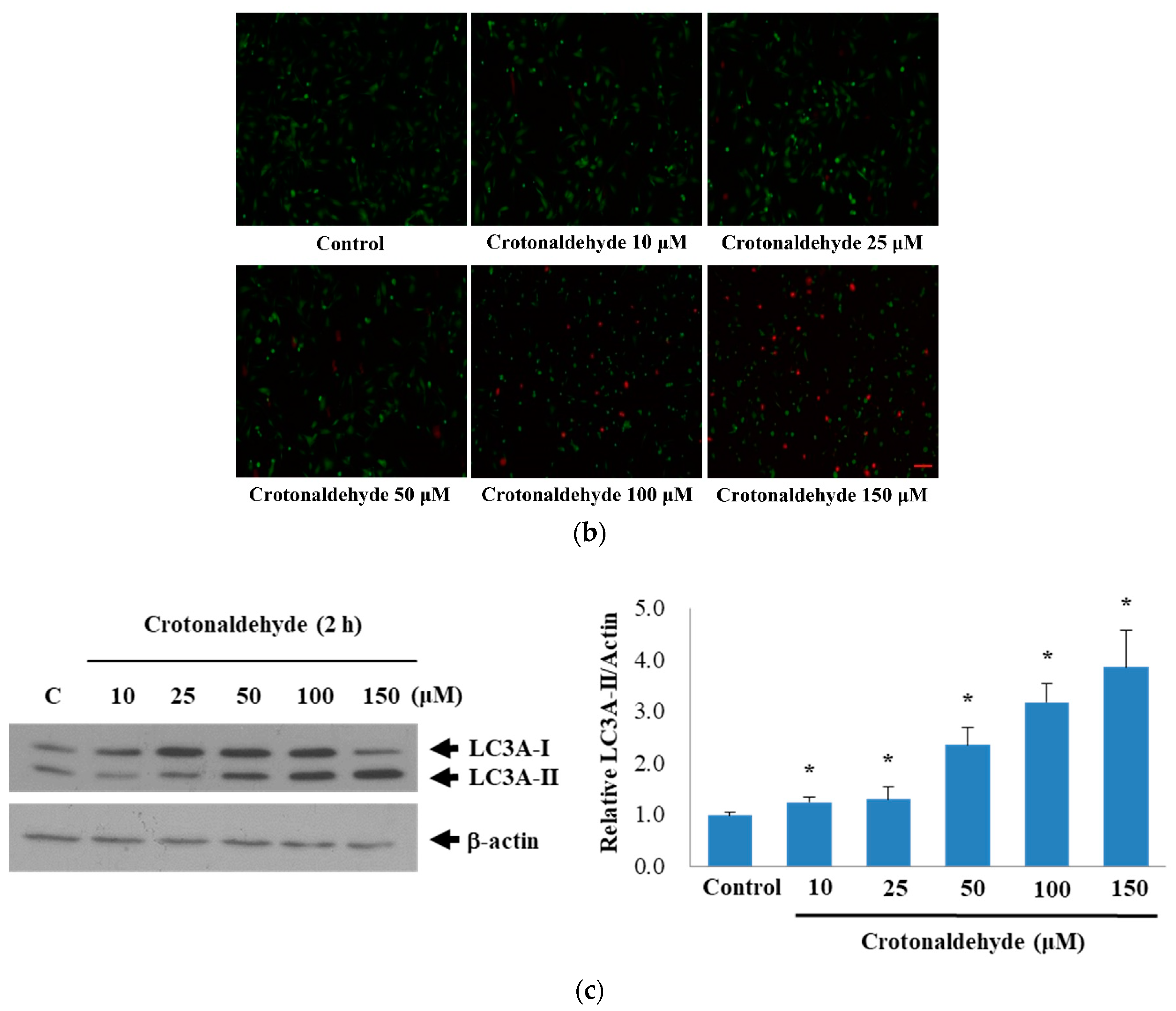 Molecules 24 01137 g001b