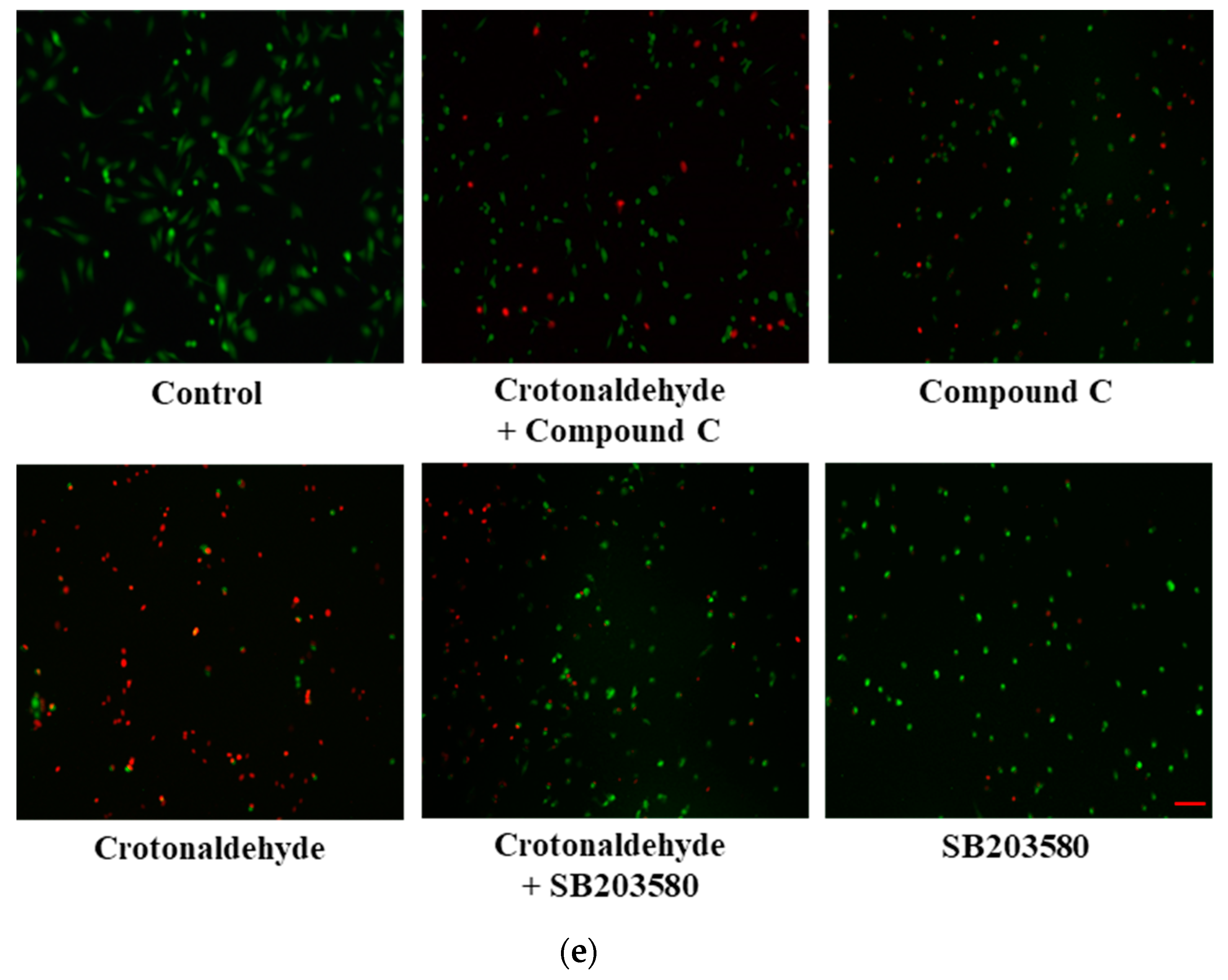 Molecules 24 01137 g005b