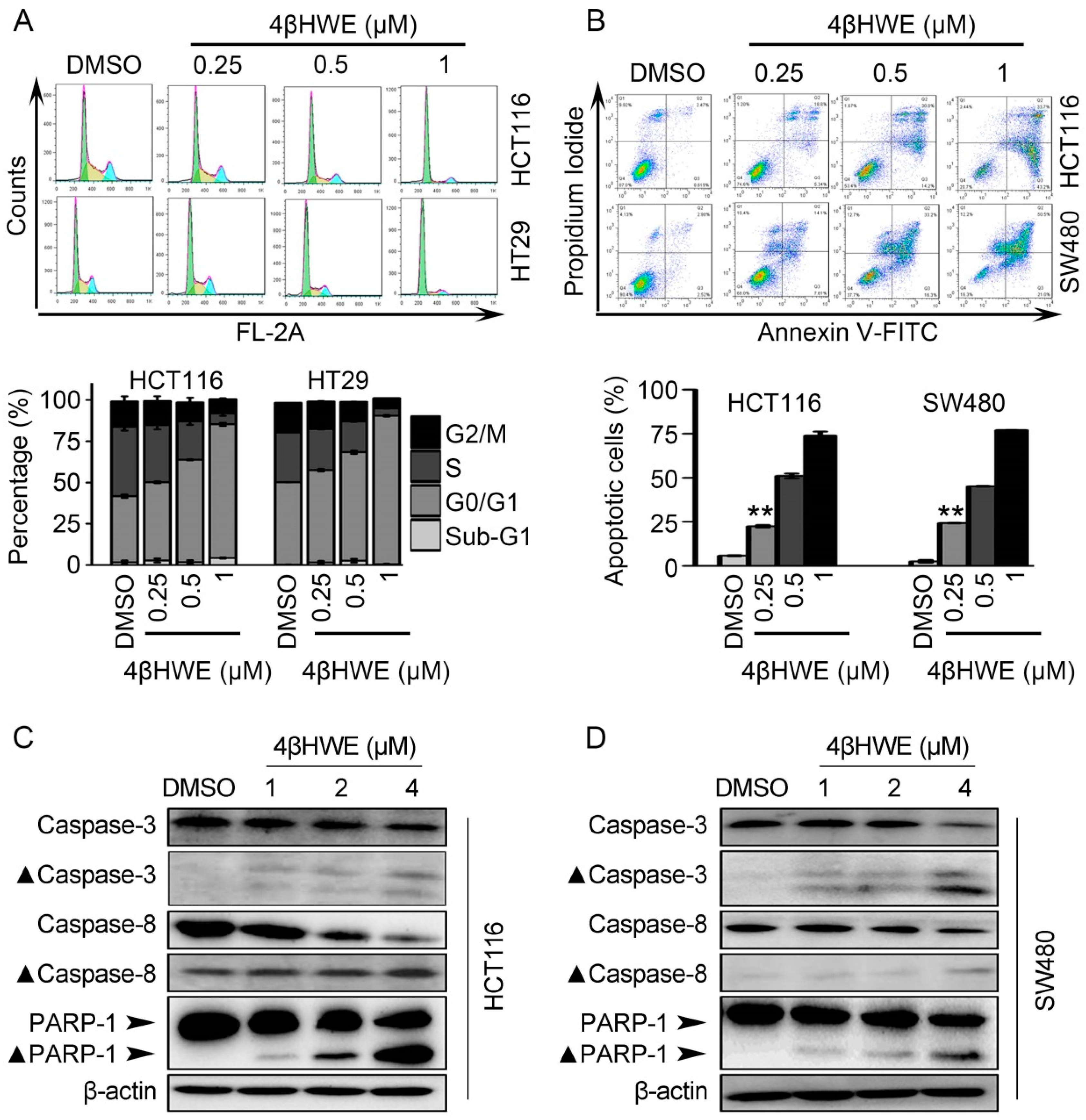 Molecules 24 01146 g005